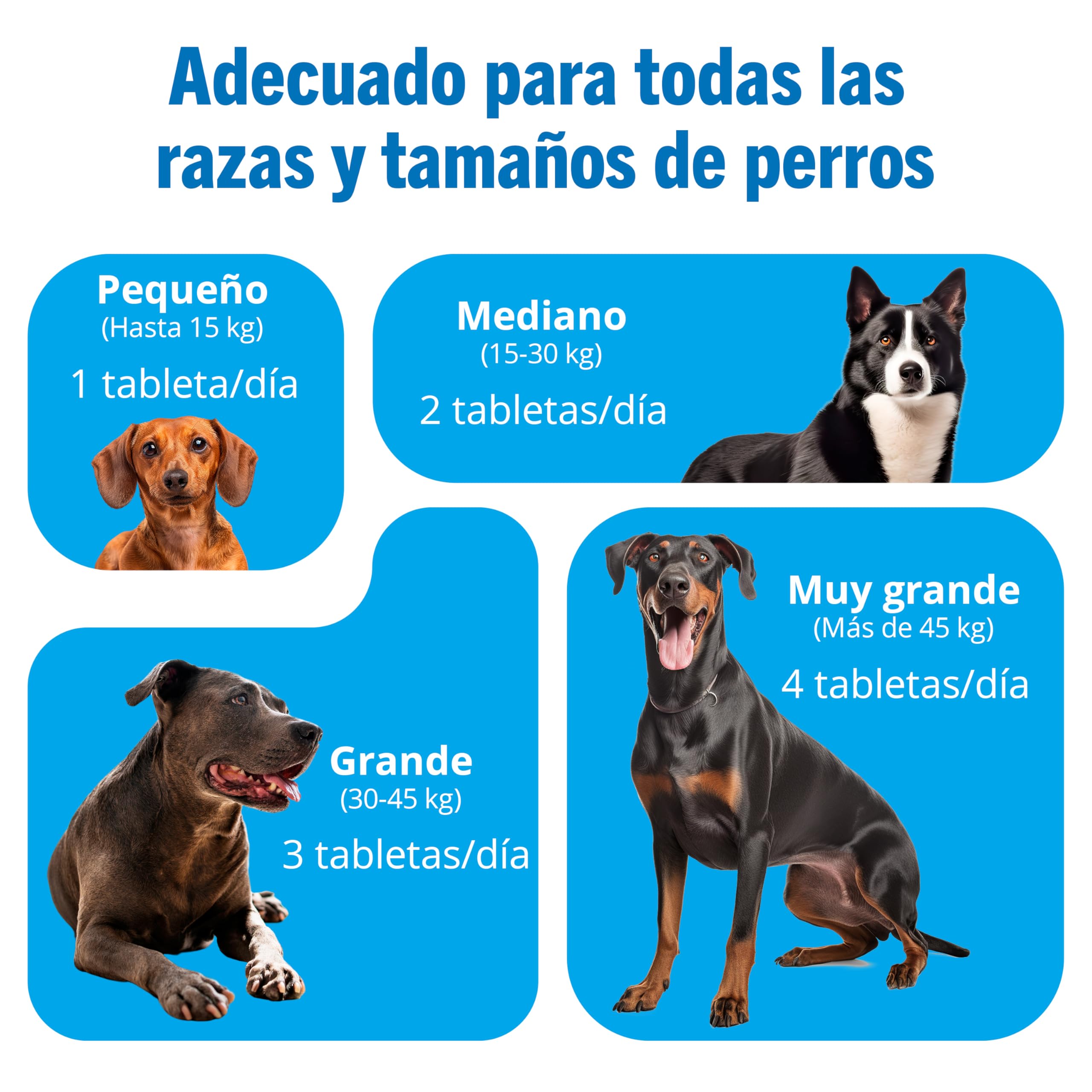 JOINTSURE condroprotector Perros I con Gran concentración de mejillon Labios Verdes, glucosamina y condroitina Natural I suplemento antiinflamatorio para articulaciones I 300 Comprimidos
