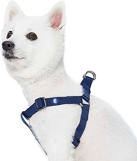 Blueberry Pet Essentials Classic Durable Solid Nylon Step-in Dog Harness, Chest Girth 16.5
