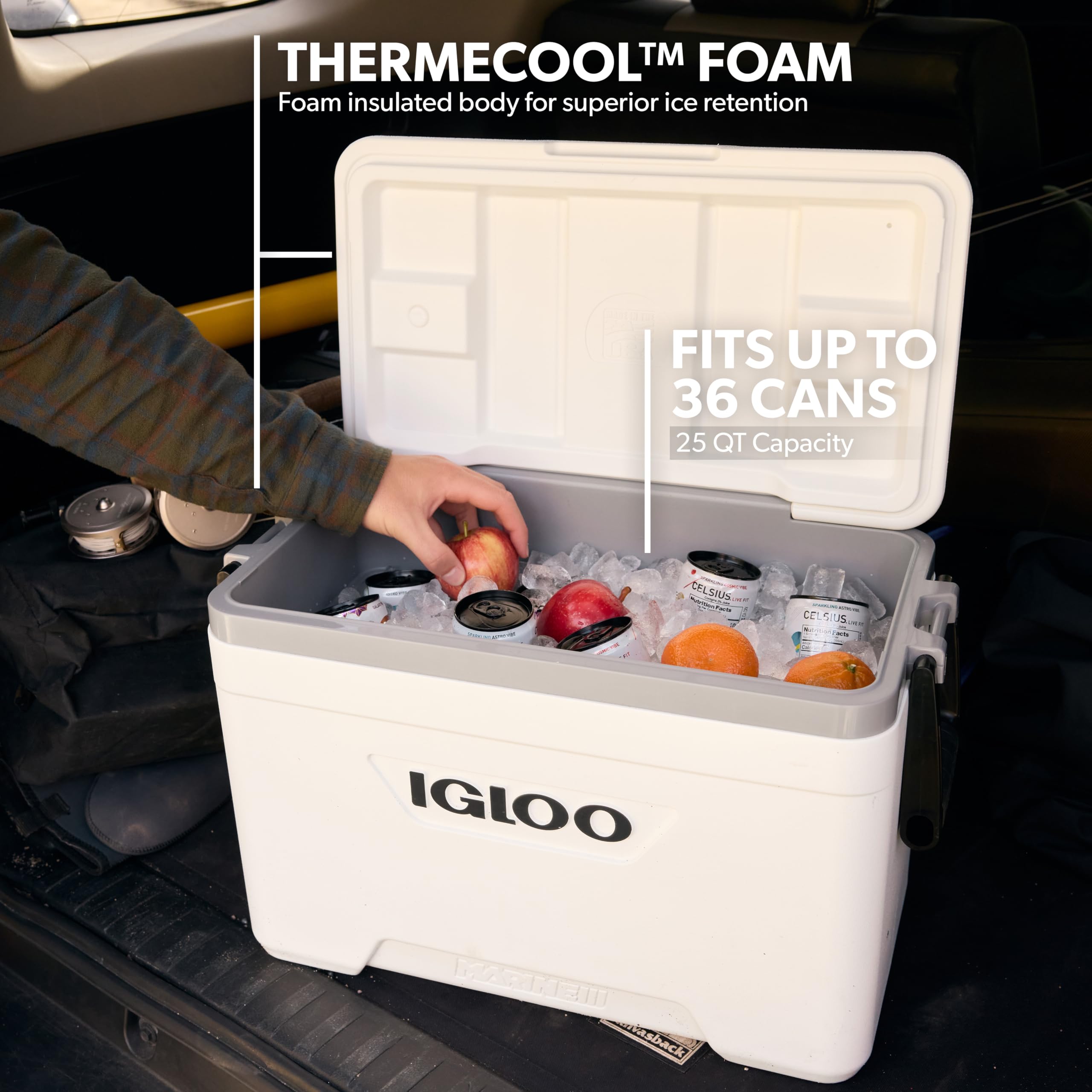 igloo 25QT クーラーボックス Amazon | Marine Ultra 25QT クールボックス ホワイト | Igloo