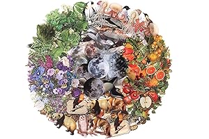 Nature-Inspired Collage Materials: Enhance Your Artistic Vision