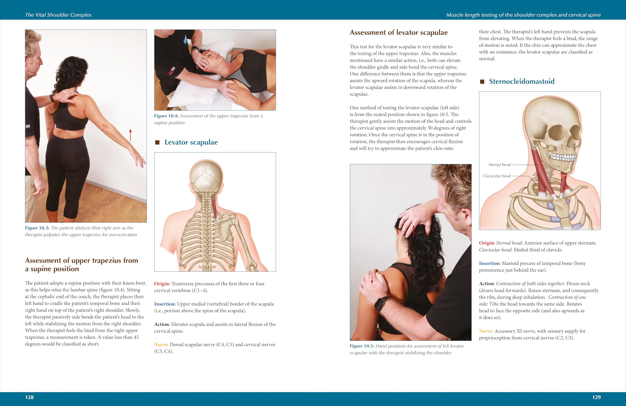 The Vital Shoulder Complex: An Illustrated Guide to Assessment, Treatment, and Rehabilitation