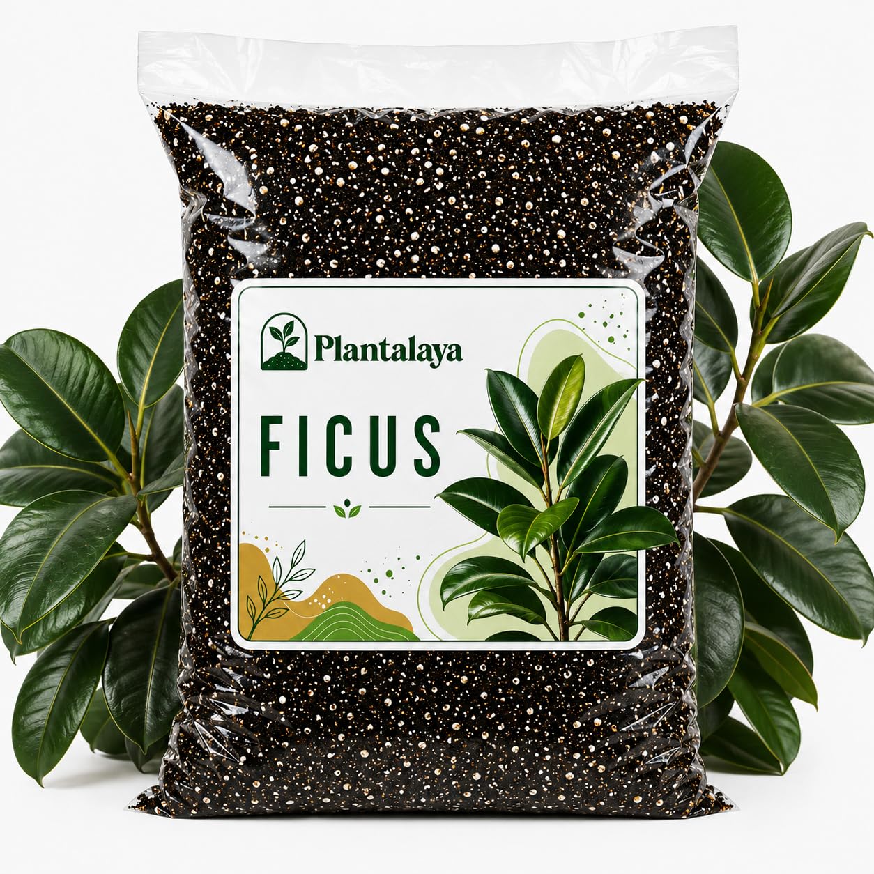 Ficus Potting Mix – Free Draining Houseplant Soil Blend for Fiddle Leaf Fig, Rubber Plant, Weeping Fig & Indoor Ficus Trees – Nutrient Rich Growing Medium for Healthy Root Development (10 Litres)