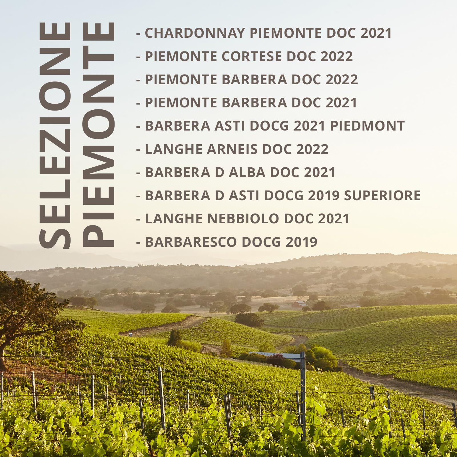 Giordano - SELEZIONE PIEMONTE - Confezione di vini originari del Piemonte dal Gusto Secco. 10 tipologie di Vino tra Bianco e Rosso - 12 Bottiglie da 75 cl