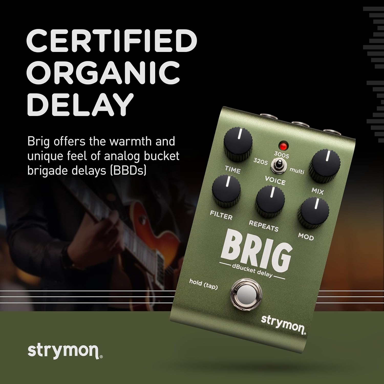 Strymon Brig dBucket BBD Guitar Delay Pedal with 3 Distinct Analog Voices for Electric and Acoustic Guitar, Synths, Vocals and Keyboards​​