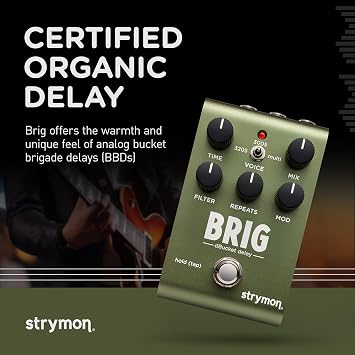 Strymon Brig Multi-voice dBucket Delay Pedal