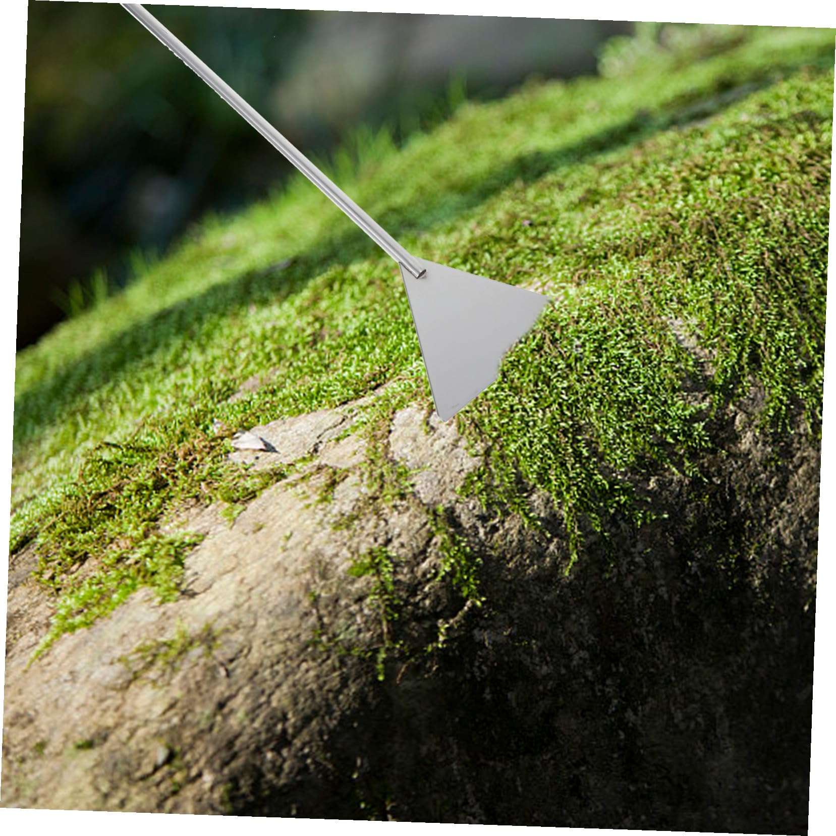 BESTonZON Tijeras para Césped Acuático Pinzas Largas para Acuario Pala de Acero Inoxidable para Acuario Suministros para Mantenimiento y Limpieza de Sustrato