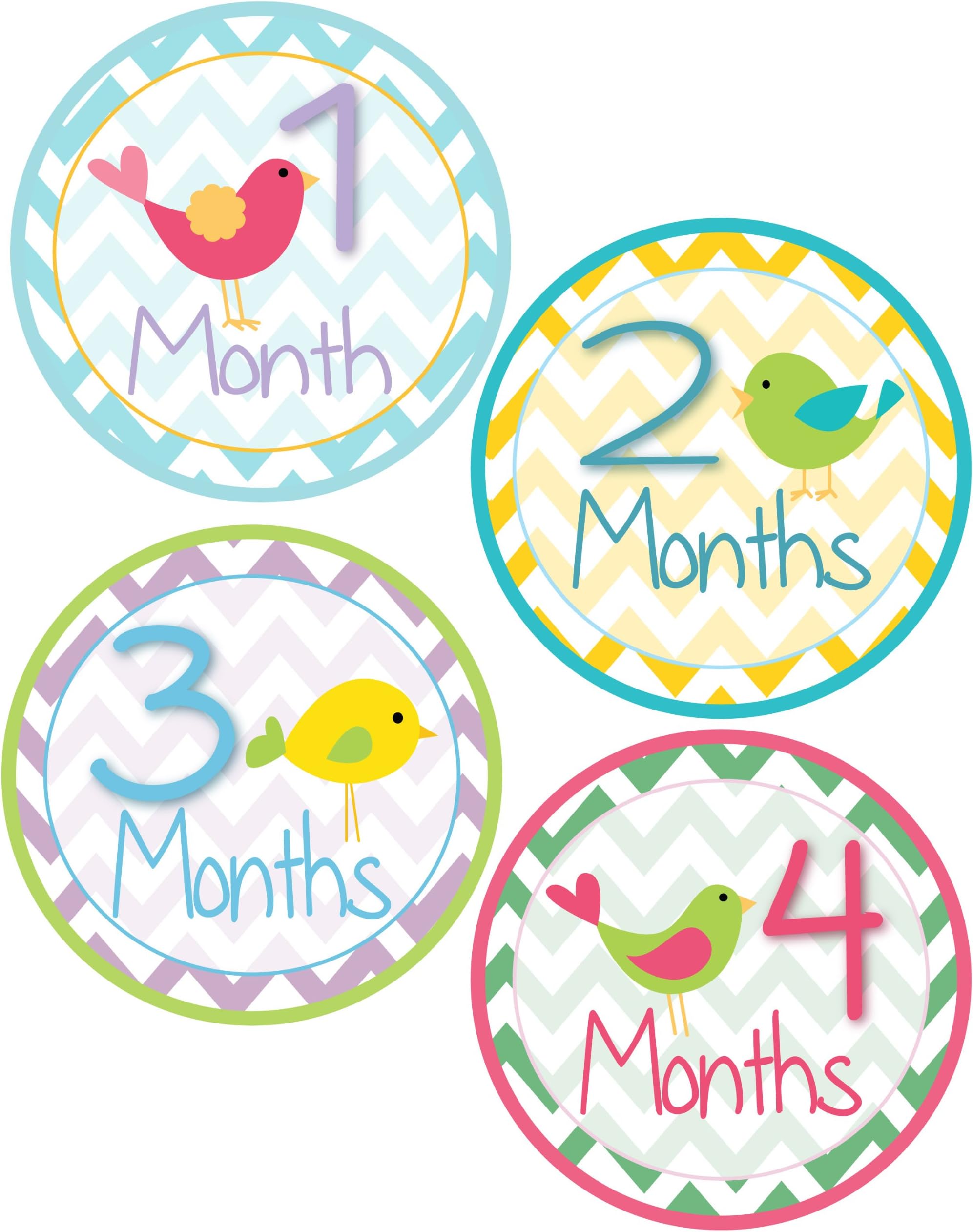 Baby Girl Bird Monthly Onesie Sticker with Chevron Pattern - Waterproof and Durable - Includes 1-12 Month Stickers