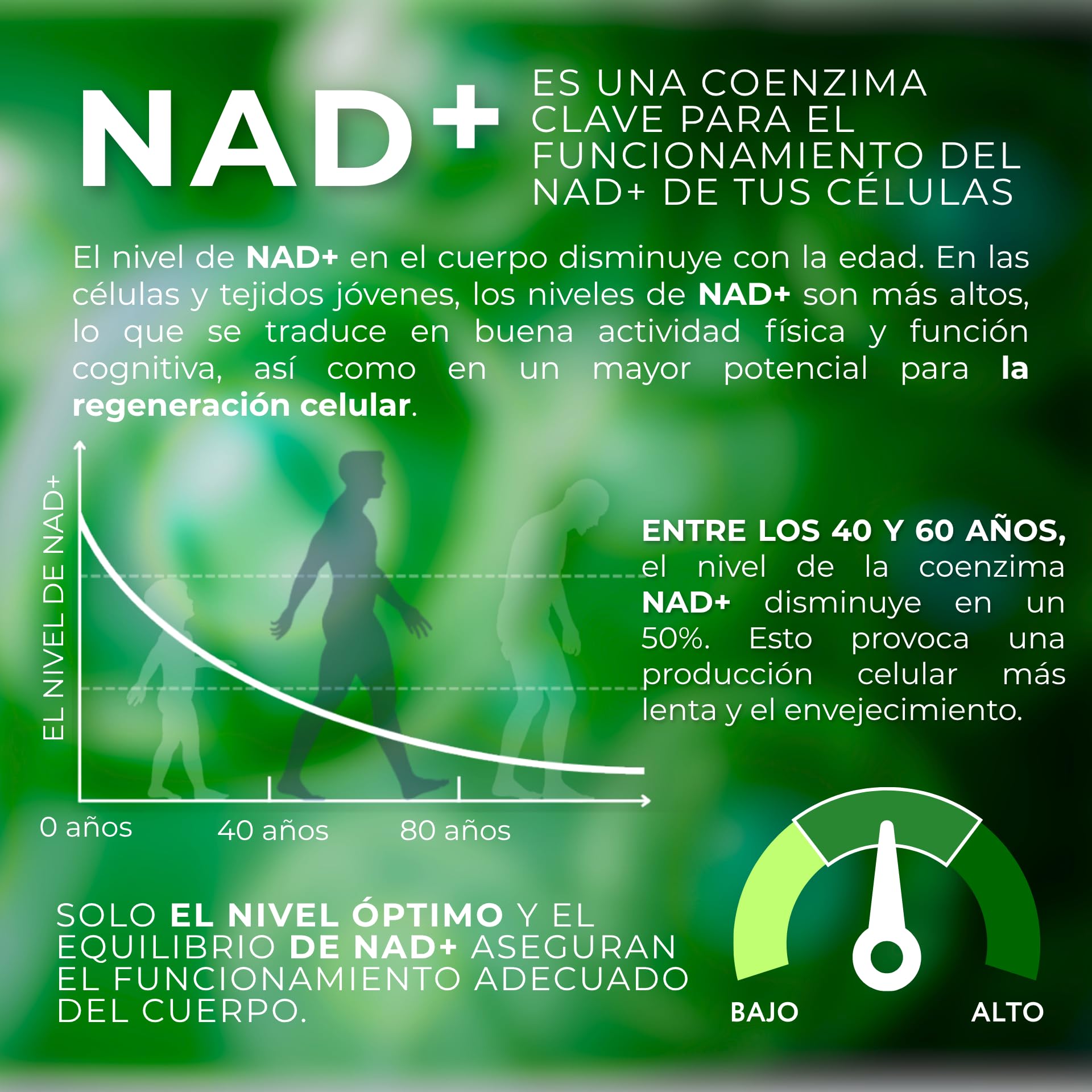 Vegan 1-MNA, NAD+ Optimizador, Antiedad, Vitaminas y Minerales para Mujeres y Hombres con D3, K2, B2, B6, B12, Ácido Fólico, Zinc, Hierro, Yodo, Selenio, Cansancio y la Fatiga, 30 Cápsulas