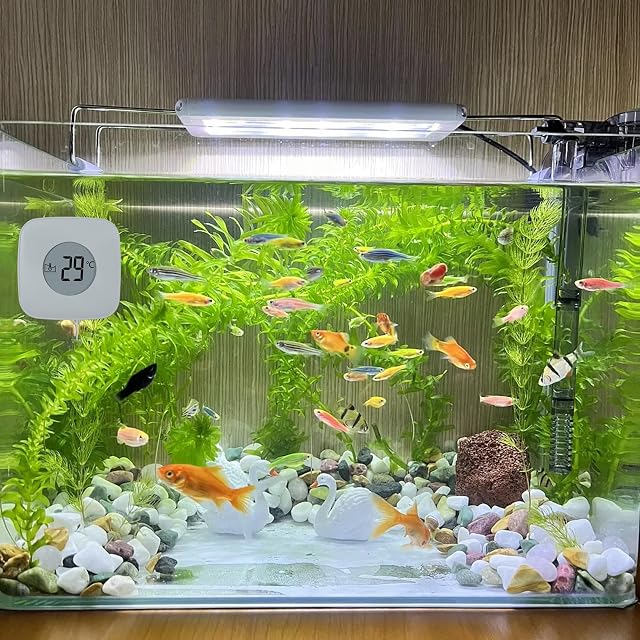 Foto 6 de 7 de Aquarium Magnetbürste - Aquarium Scheibenreiniger Magnet mit Temperaturanzeige, Aquarium Magnetic Brush…