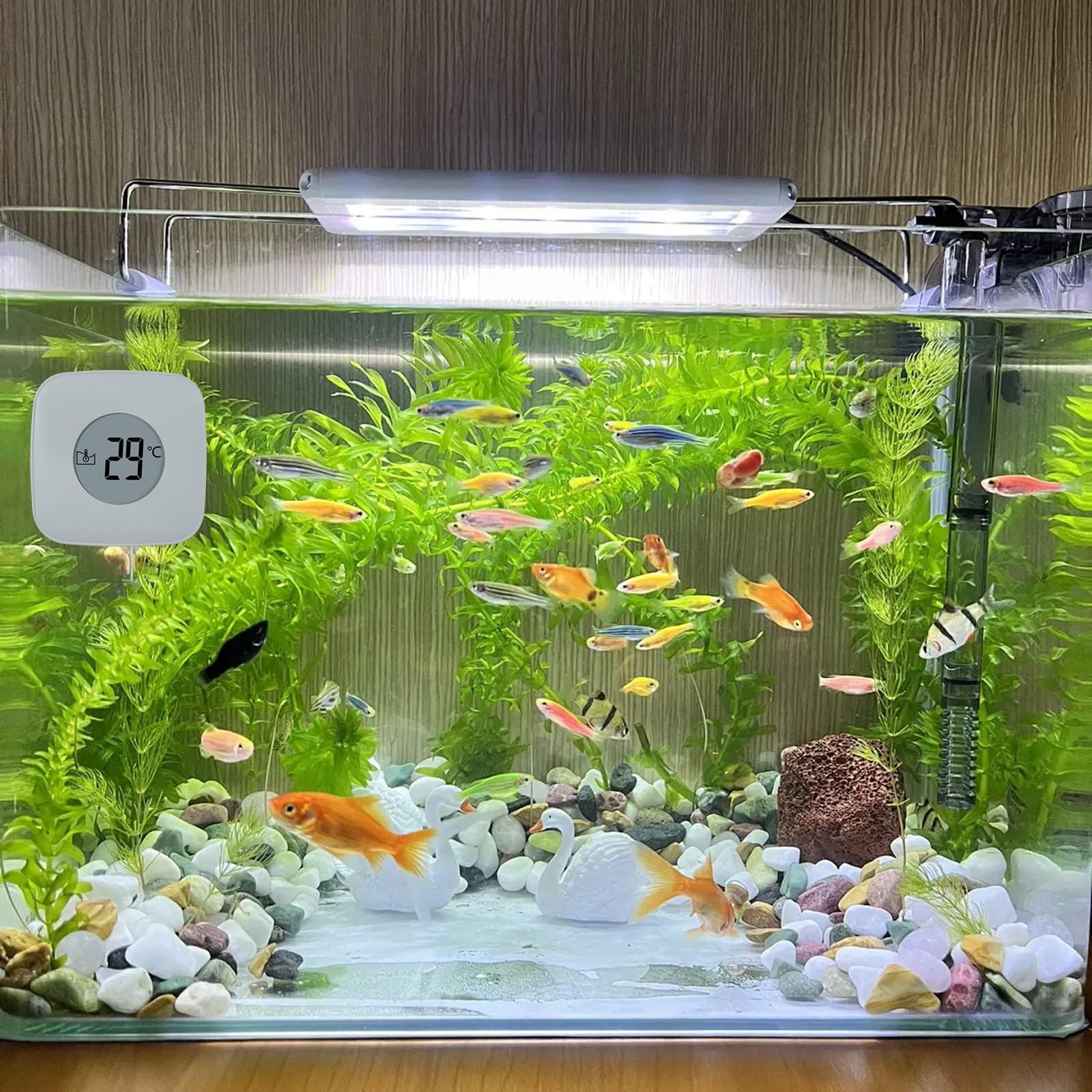 Spazzola magnetica per acquario, detergente vetri con indicatore temperatura, rimozione alghe piscina