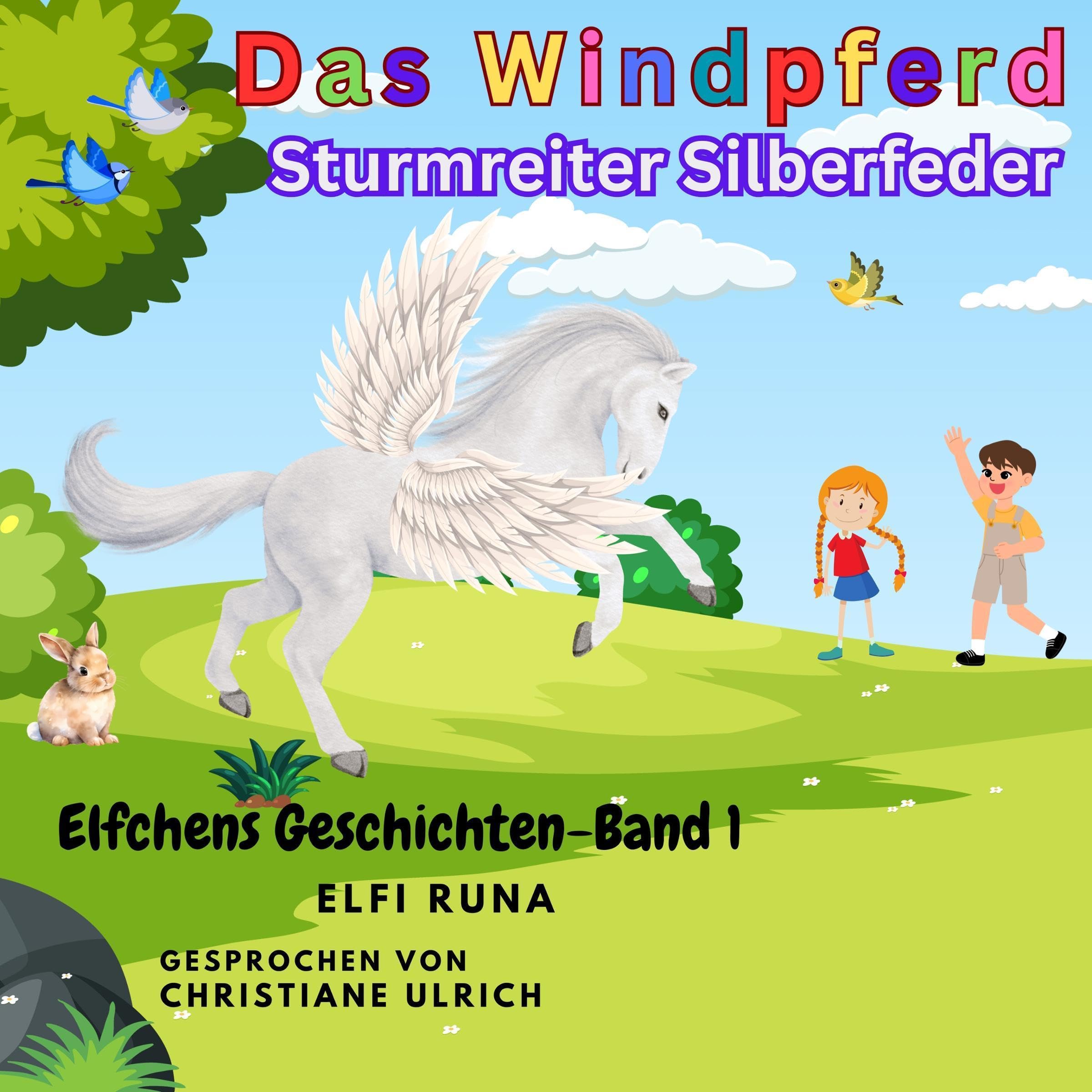 Cover art for Das Windpferd [The Windhorse]: Sturmreiter Silberfeder [Stormrider Silverfeather]