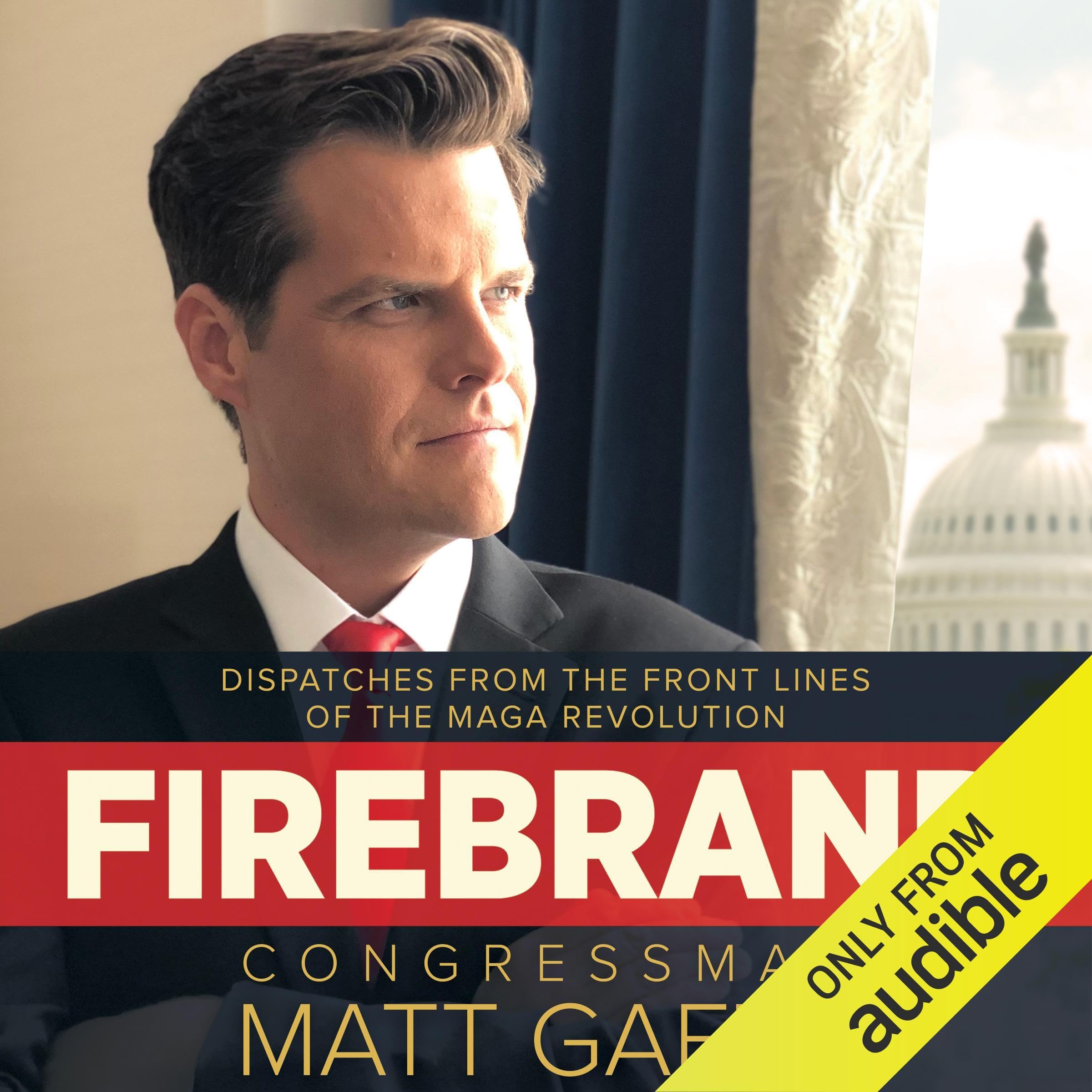 Cover art for Firebrand: Dispatches from the Front Lines of the MAGA Revolution