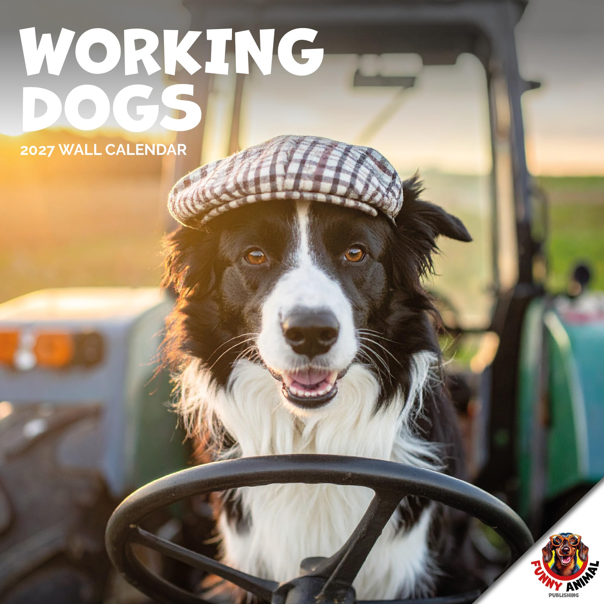 Funny Animals Collection, Working Dogs Calendar 2027, Large