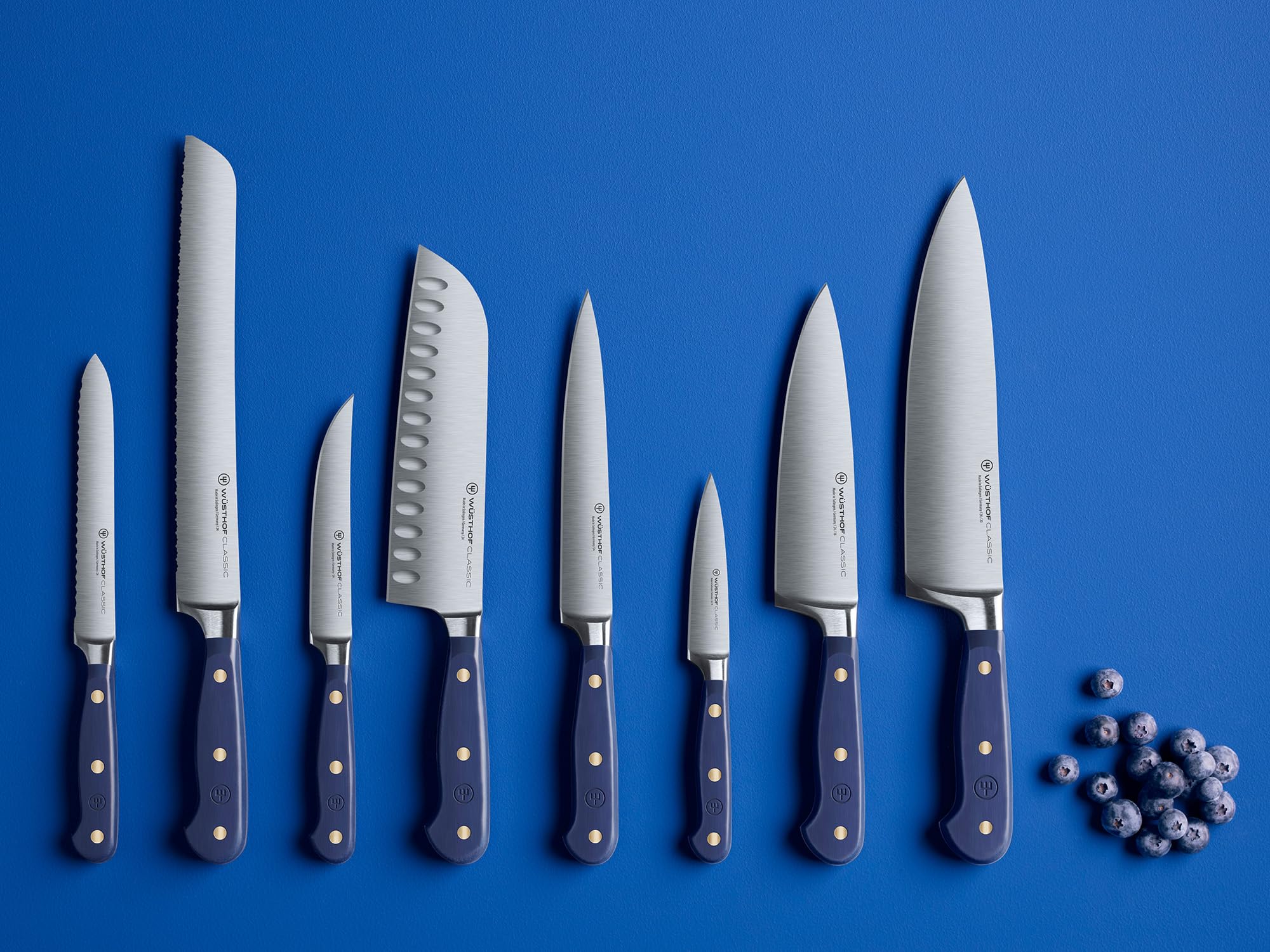 WÜSTHOF Classic Steakmesser 12 cm, Wild Blueberry (Blau)