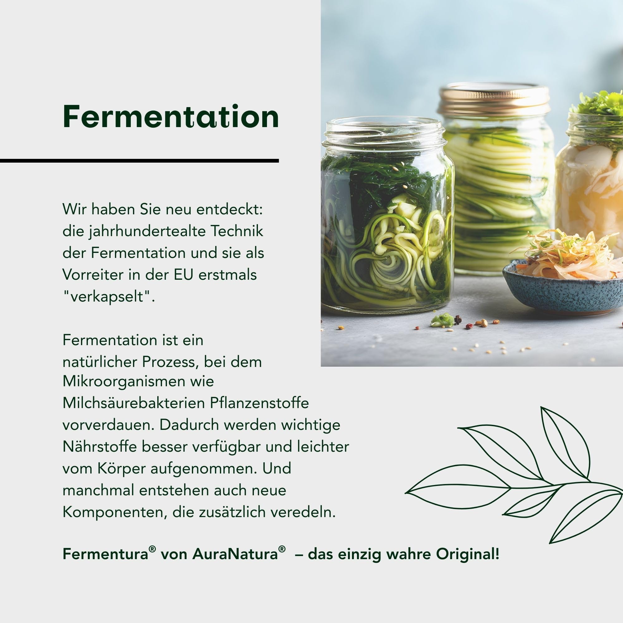 Fermentura BlasenVital, D-Mannose Cranberry-Extrakt für Blasenentzündungen | Natürliche Unterstützung bei Blasen- & Harnwegsproblemen | 60 Kapseln, 1er-Pack | Vegan