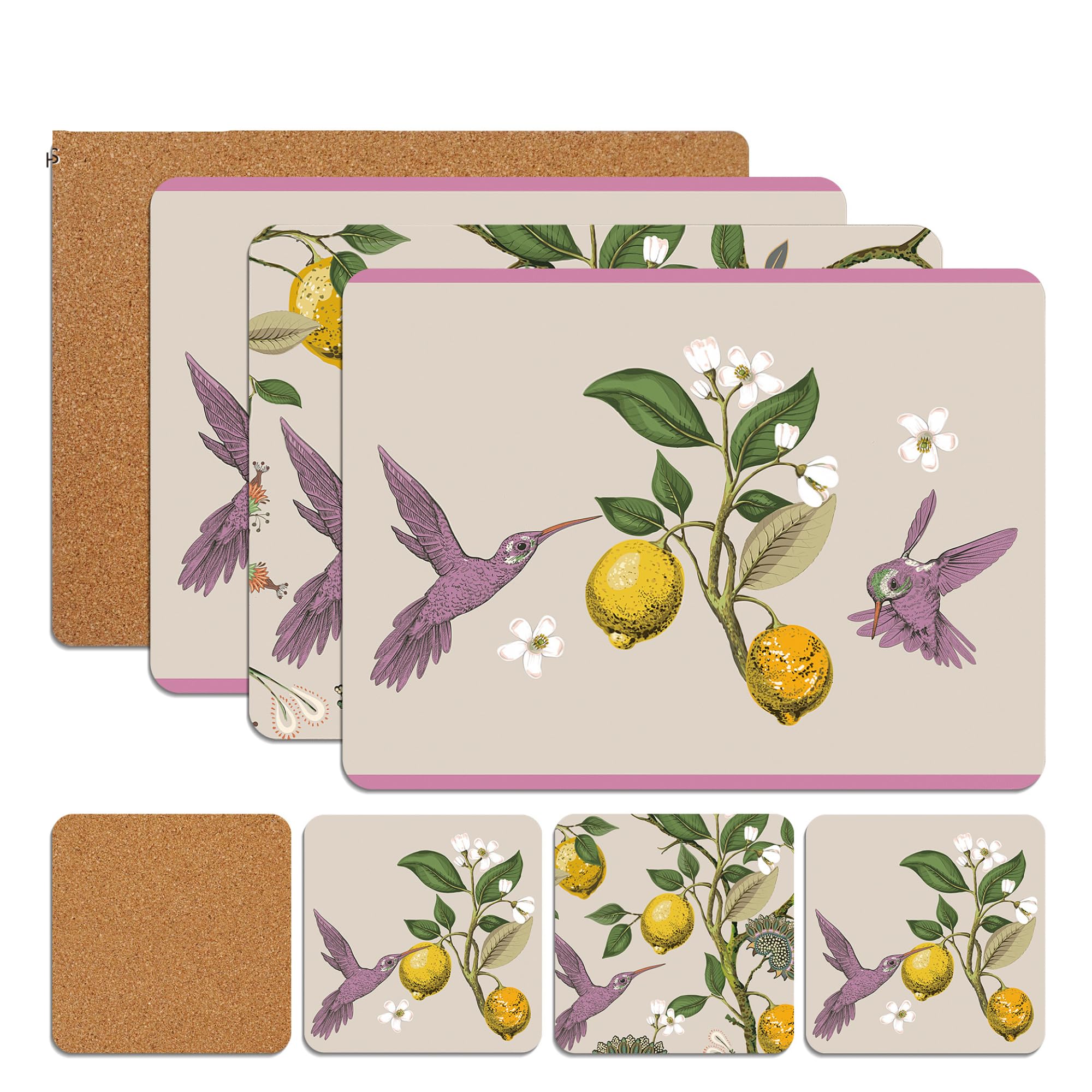 Sixsigma Sports Humming Birds Placemats & Coasters Set Heat Resistant Cork Placemats Table Mats For Dining Kitchen Place Mats Set Of 8 - Ideal Table Christmas Decorations 21.5 X 29Cm (Humming Birds)