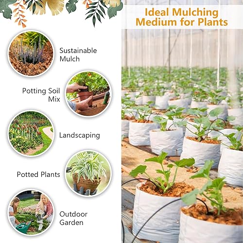 Miniatura 5 de Legigo Paquete de 2 chips de cáscara de coco, 2.2 libras, 100 % orgánicos, mezcla de tierra para macetas con bajo equilibrio de EC y PH, sustrato de