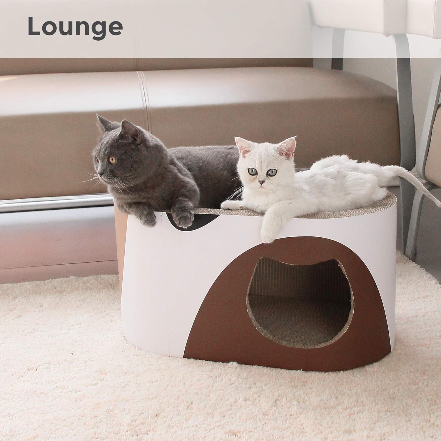 MSBC Big Cat Scratcher Lounge, Corrugated Cardboard Cat Scratcher House with Hole, Large Scratching Lounger Sofa Bed, Cat Scratching Pad for Indoor Cats as Furniture Protector, Cat Training Toy : Pet Supplies