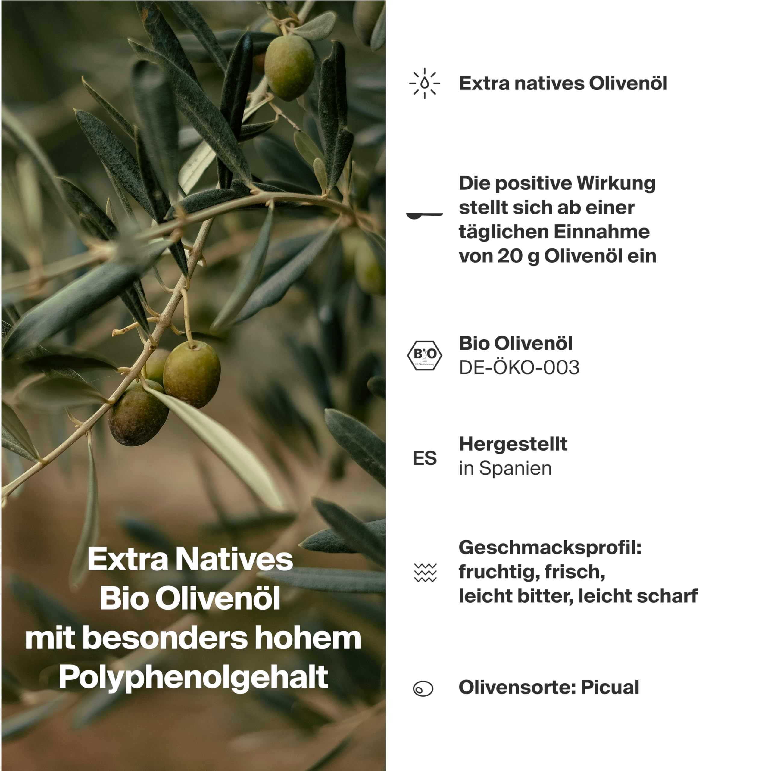 PHENOLIO Extra Natives Bio-Olivenöl 500 ml | Hoher Polyphenolgehalt | Antioxidativer Zellschutz & Herz-Kreislauf-Unterstützung | Kaltgepresst & ungefiltert