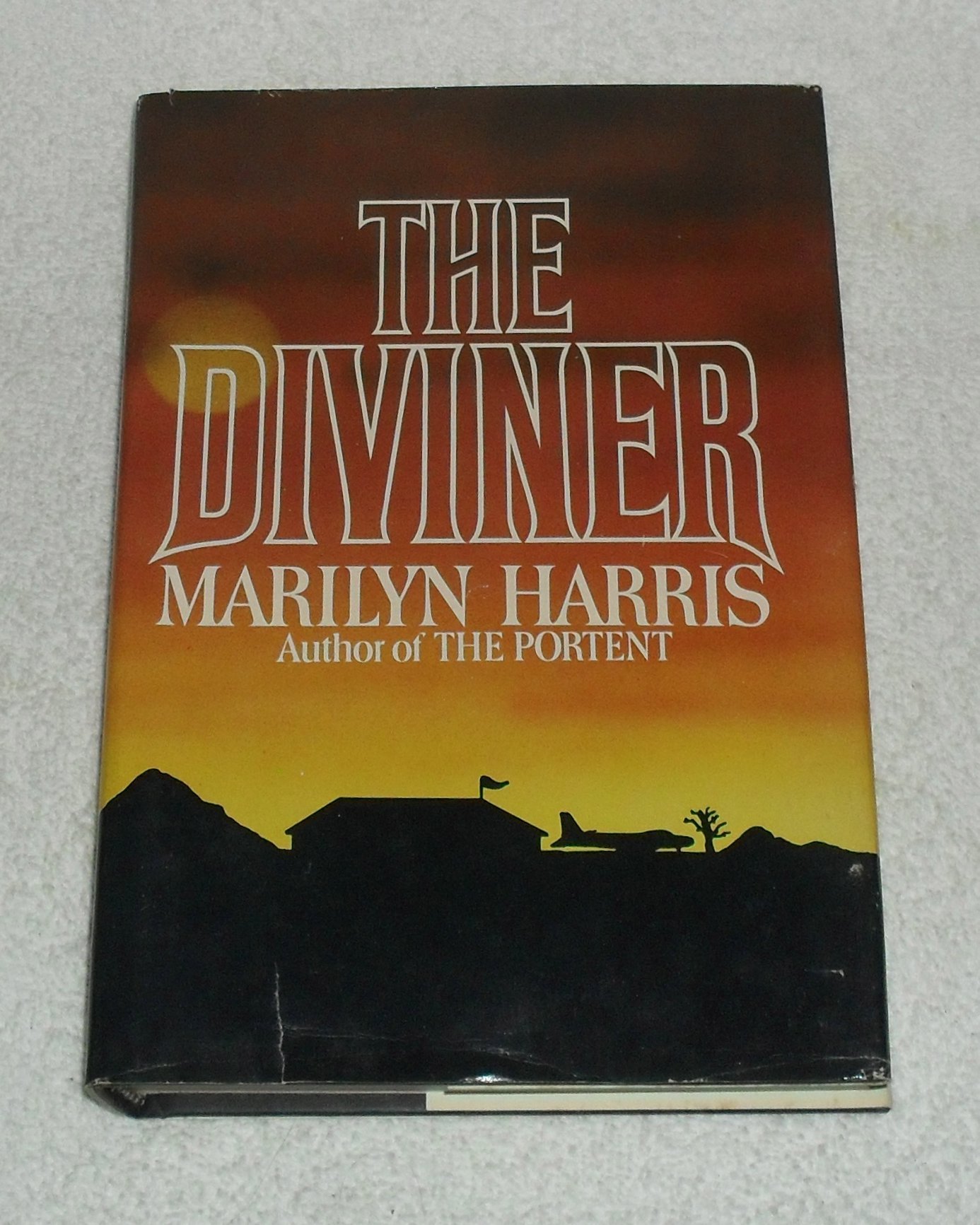 Cover of The Diviner
