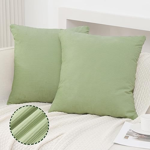 JIAHANNHA Fundas de almohada de terciopelo verde salvia de 18 x 18 pulgadas, paquete de 2 fundas cuadradas decorativas suaves a rayas para sofá,