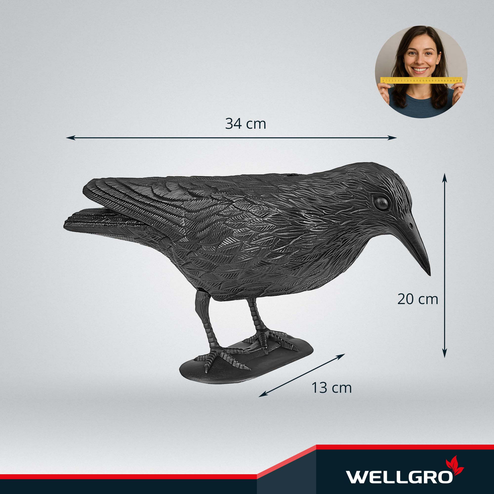 WELLGRO 4 X Uccello Schreck, Corvo Seduto di Plastica, Nero