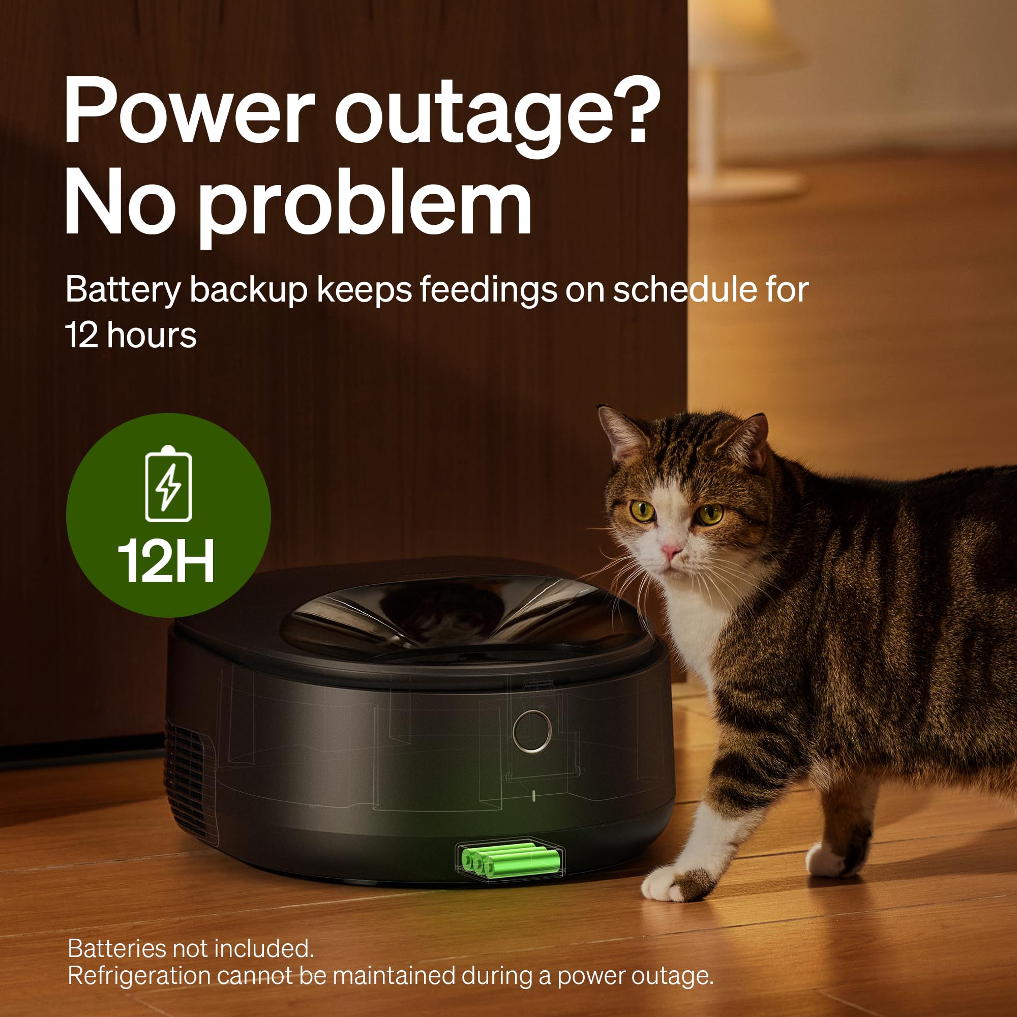 PETLIBRO Alimentatore automatico per gatti