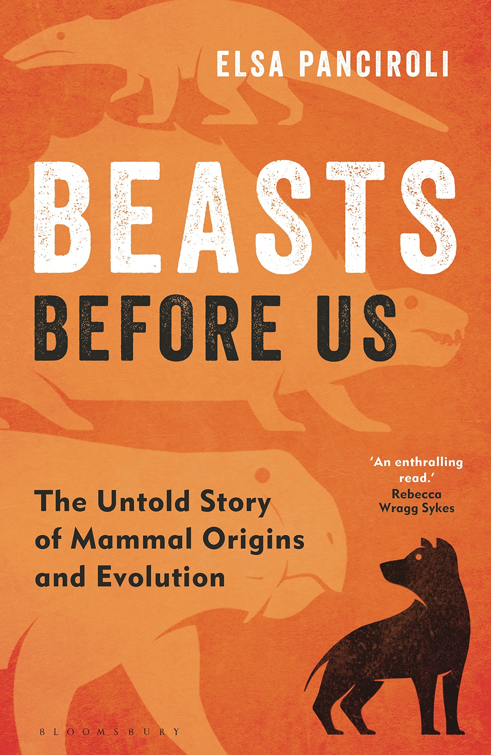 Buy Beasts Before Us: The Untold Story of Mammal Origins and Evolution โ BookShops.in