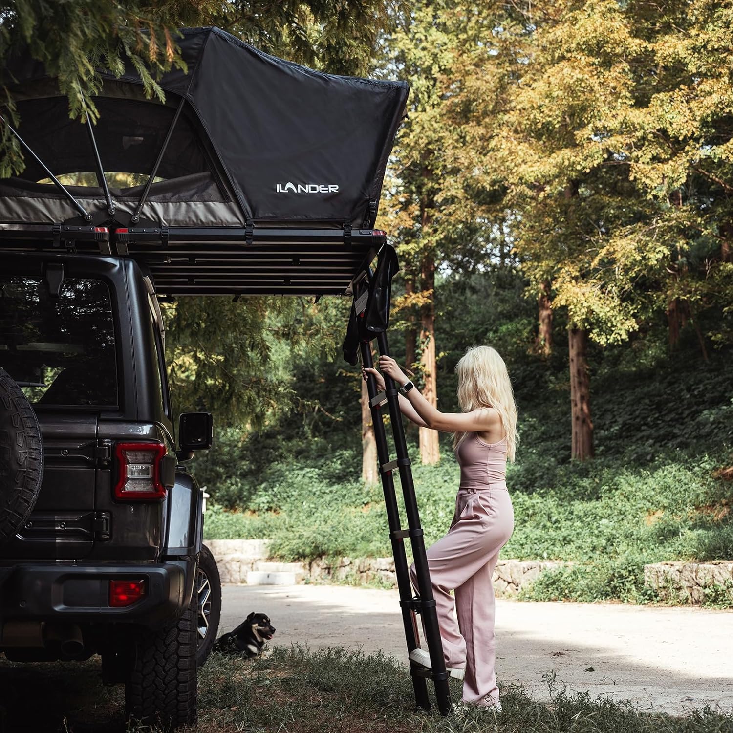 Rooftop Tent Hardshell for Camping - Easy Setup Durable Roof Top Tent with Ladder for 2-3 People, Suitable for Car Jeep SUV Truck, Waterproof & UV-Resistant, Four Season Applicable