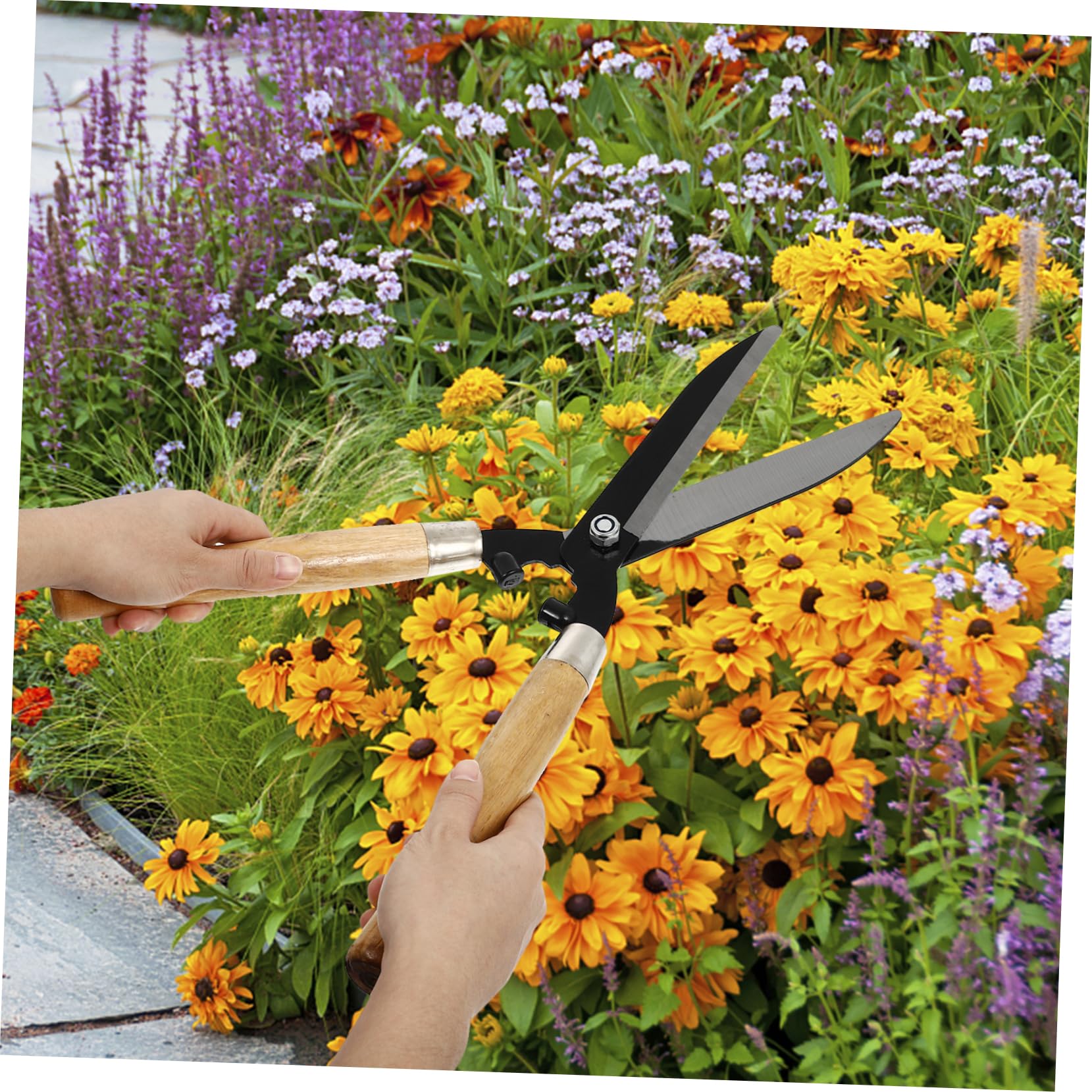 TOYANDONA 1pezzi Forbici Da Giardino Per Alberi Utensili Per Innesto Cesoie Per Prato Cesoie Da Potatura Per Giardinaggio Design Ergonomico Impugnatura in Legno Acciaio Temprato Lama Affilat