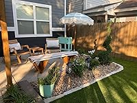 Review Image by jo miller jo miller