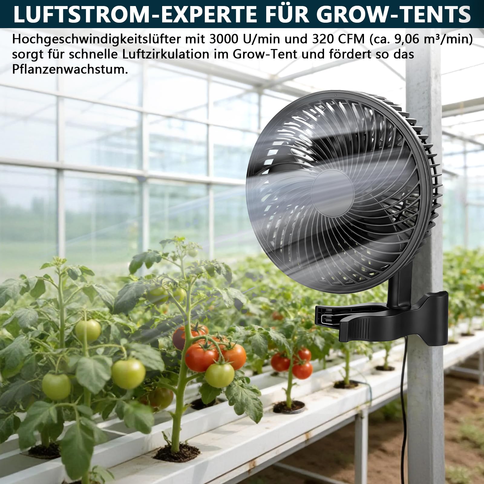Grow Ventilator Oszillierend mit Clip, EC-Motor, 10 Stufen, 300 cm Kabel | 544 m3/h Luftstrom, 28 dB(A), Ø 150mm Clip Ventilator Umluftventilator leise für Grow Zelte, Anzuchtzelt (1 Stück)