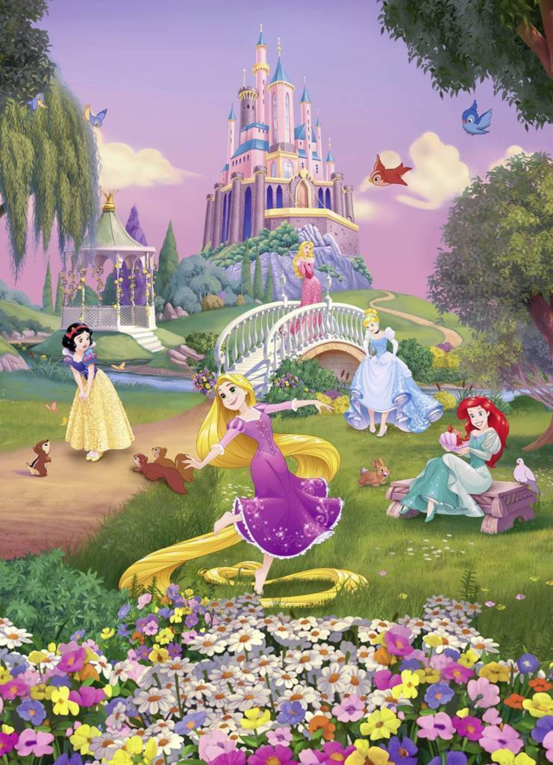 Papier Fototapete - Disney Princess Sunset - Größe 184 x 254 cm