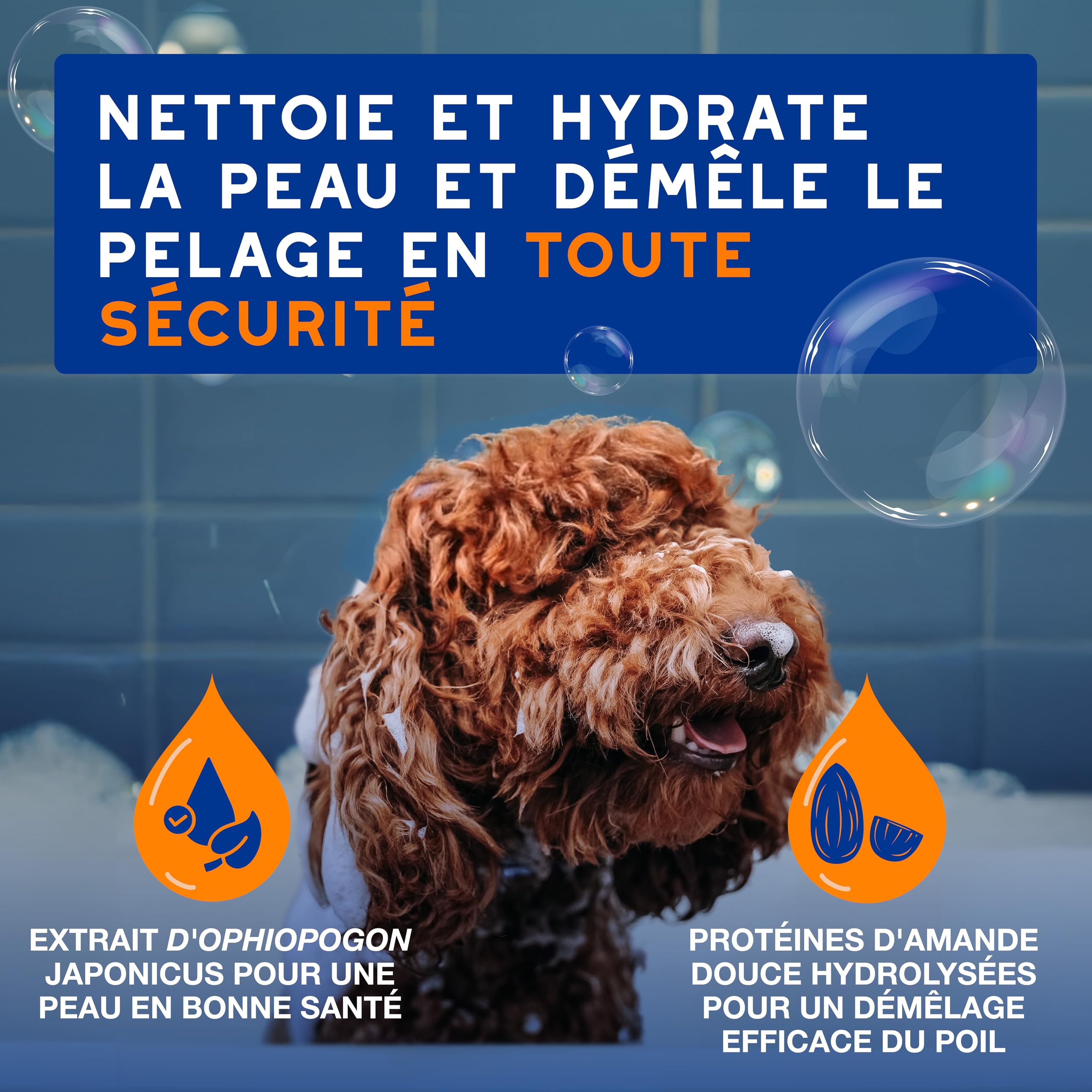 DOUXO Skin & Coat Spa - Ultra-Safe Shampoing 2 en 1 démêlant pour Chiens, 250 ML, nettoie et Hydrate en Profondeur la Peau et Le Poil, Laisse Le Pelage Doux, Soyeux et démêlé, respecte la Peau.