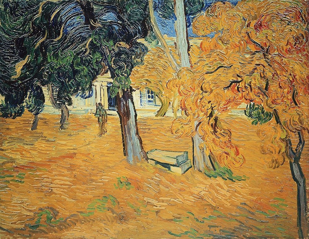 The Garden of Saint-Paul Hospital impression archival d'art