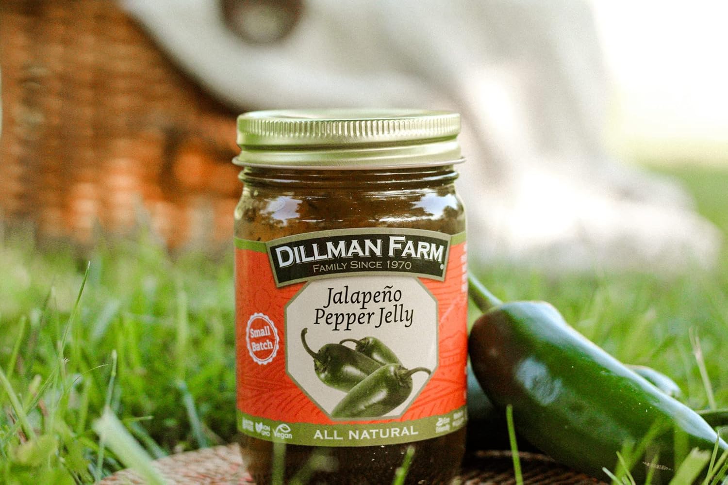 Dillman Farm All Natural Jalapeno Jelly - Gluten-Free, Non-GMO, Vegan, Kosher, Eco-Friendly, Preservative Free, Corn Syrup Free - Made in USA, 16oz (Pack of 6)