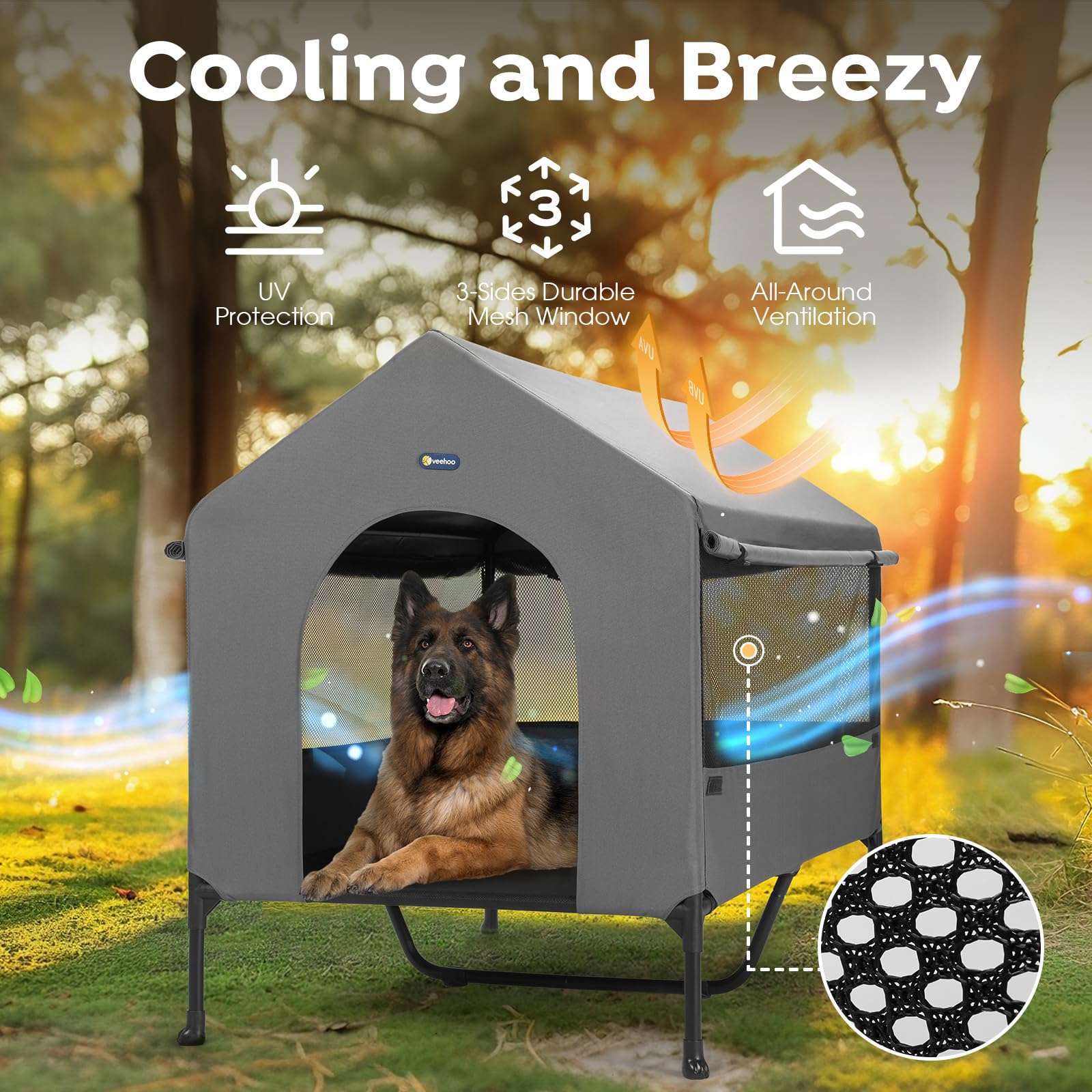 https://m.media-amazon.com/images/I/81Q9fFY2WBL.jpg