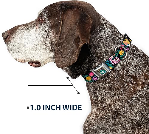 Miniatura 6 de Buckle-Down Collar de perro con hebilla de cinturón de seguridad Alice Cheshire Cat Flowers Poses negro, multicolor, 1 pulgada de ancho, se adapta a