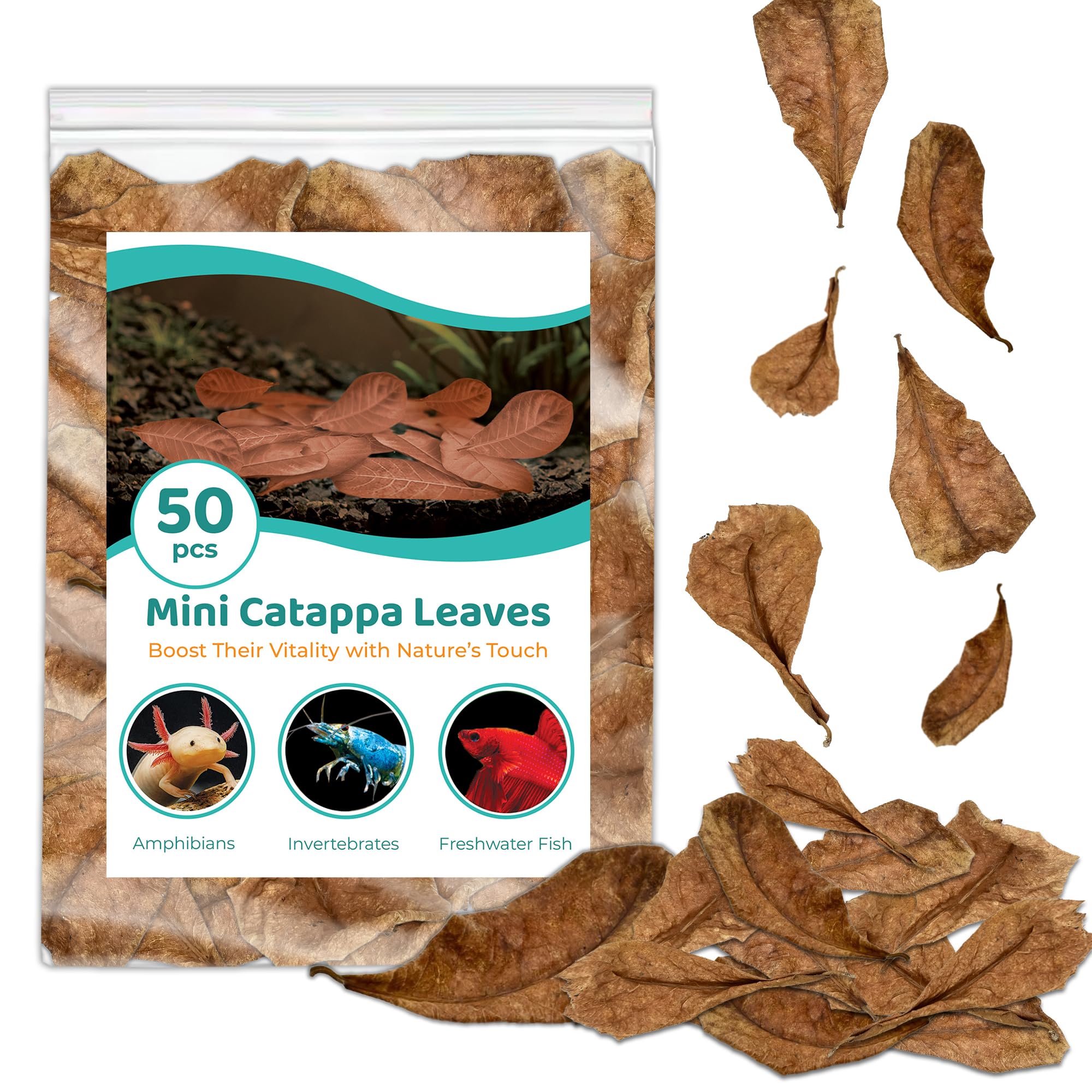 SunGrow 50 pcs Betta Fin Rot Treatment Catappa Indian Almond Leaves, 2", Betta Water Conditioner Leaves for Fish Tank Aquarium, Leaf Create Realistic Blackwater River Habitat, Reduce Stress & Lower pH