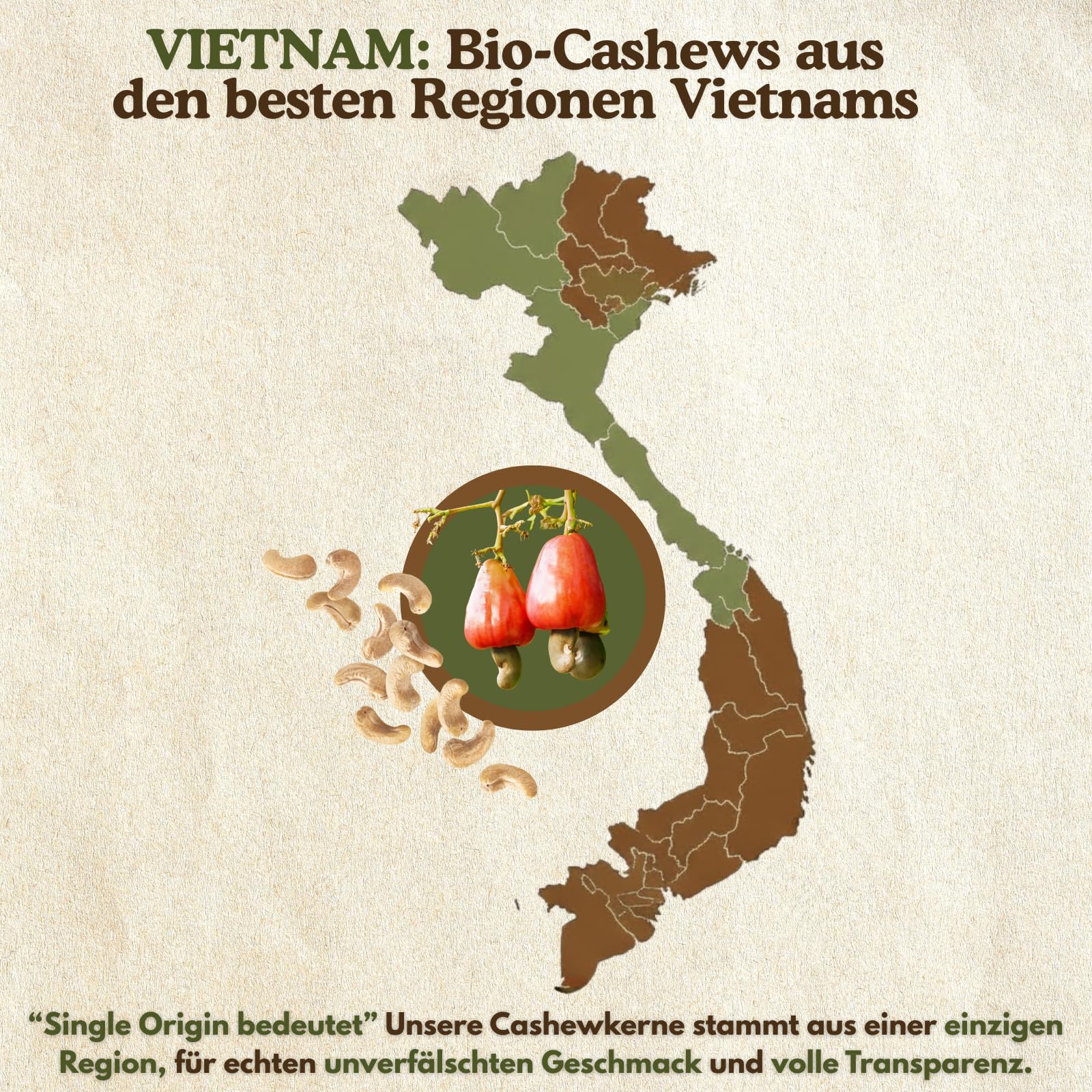 DATTELMANN® - Bio Cashewkerne 1KG - Ganze Cashewnüsse - Roh & Unbehandelt - Premium Nüsse