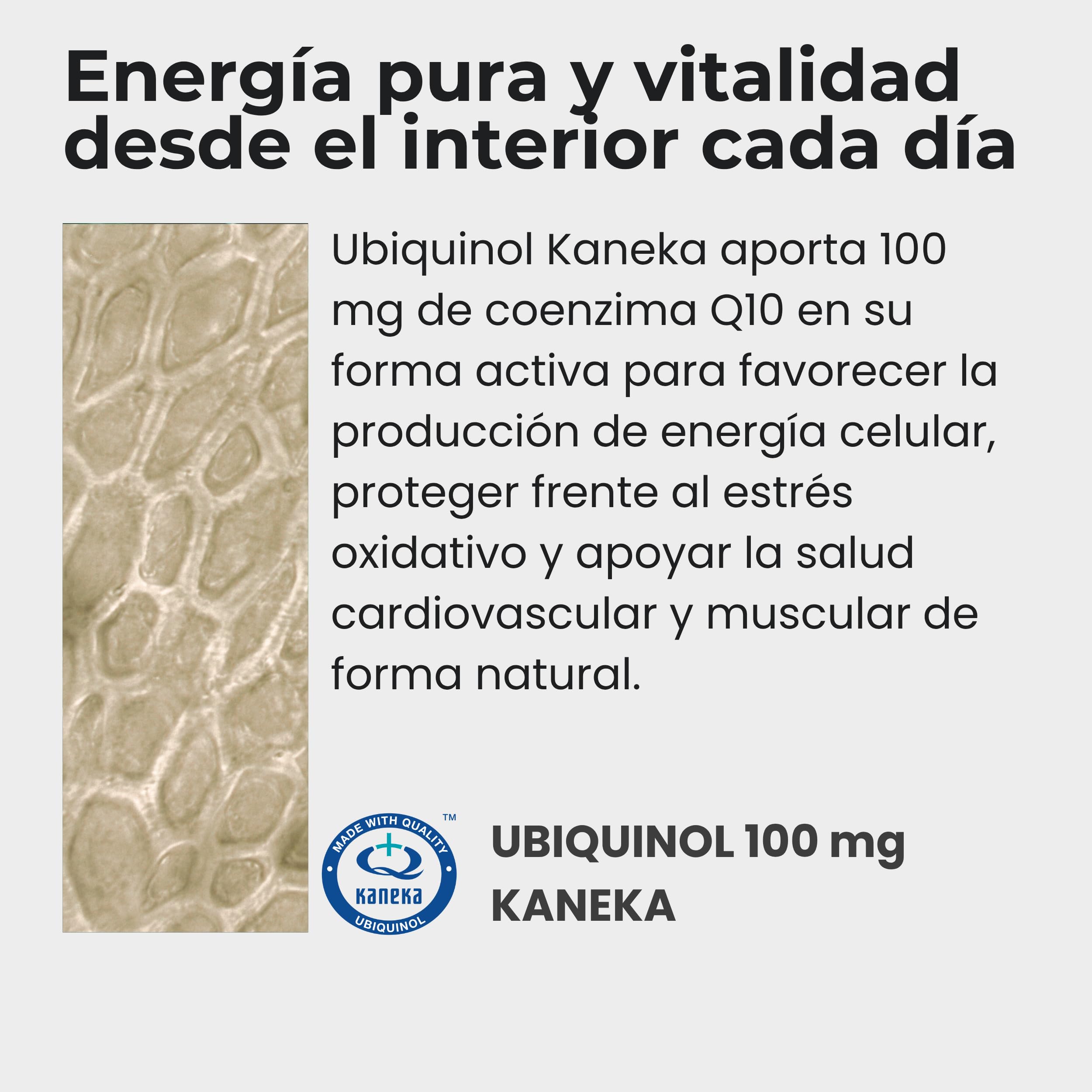 Ubiquinol Kaneka 100 mg | Coenzima Q10 con Ubiquinol Kaneka | Potente fórmula con CoQ10 para energía celular, salud cardiovascular y función cognitiva | Vegano/Sin Gluten