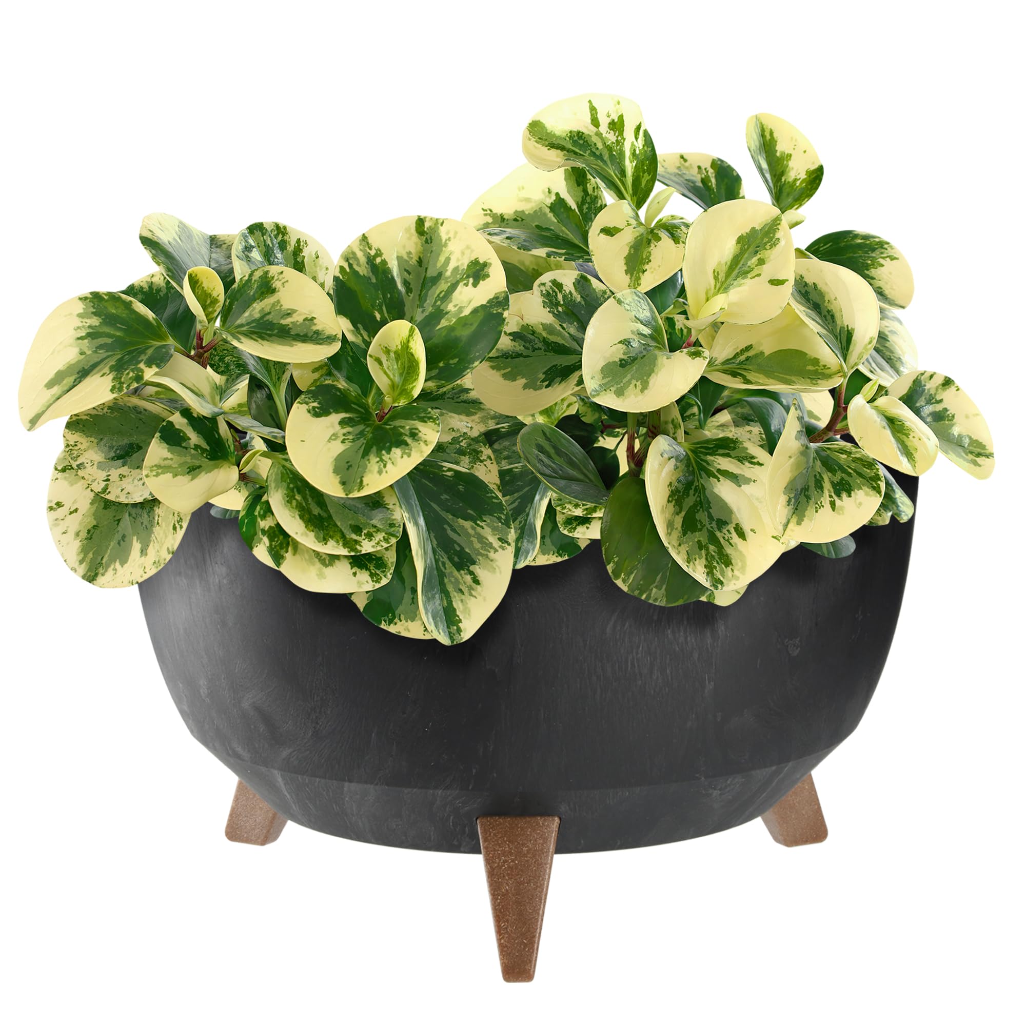 KADAX Plastic Flower Pot with Three Stands, Round Flower Bowl, Flower Pot, Flower Pot, Flower Pot, Balcony, Living Room (39.5 cm, Anthracite) — view 18