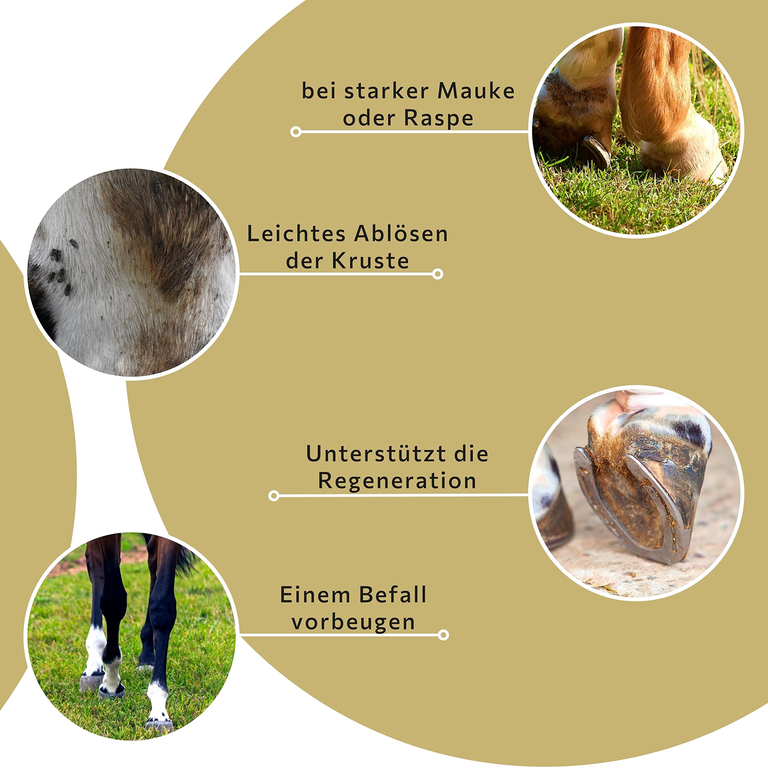 Peticare Spezial Mittel für Pferde | gegen Mauke Raspe Fesselekzem | lindert Verhärten, Austrocknen, fördert Regenerationsprozess | einzigartiges PRS® System für Lange Wirkung – petHorse Health 2006
