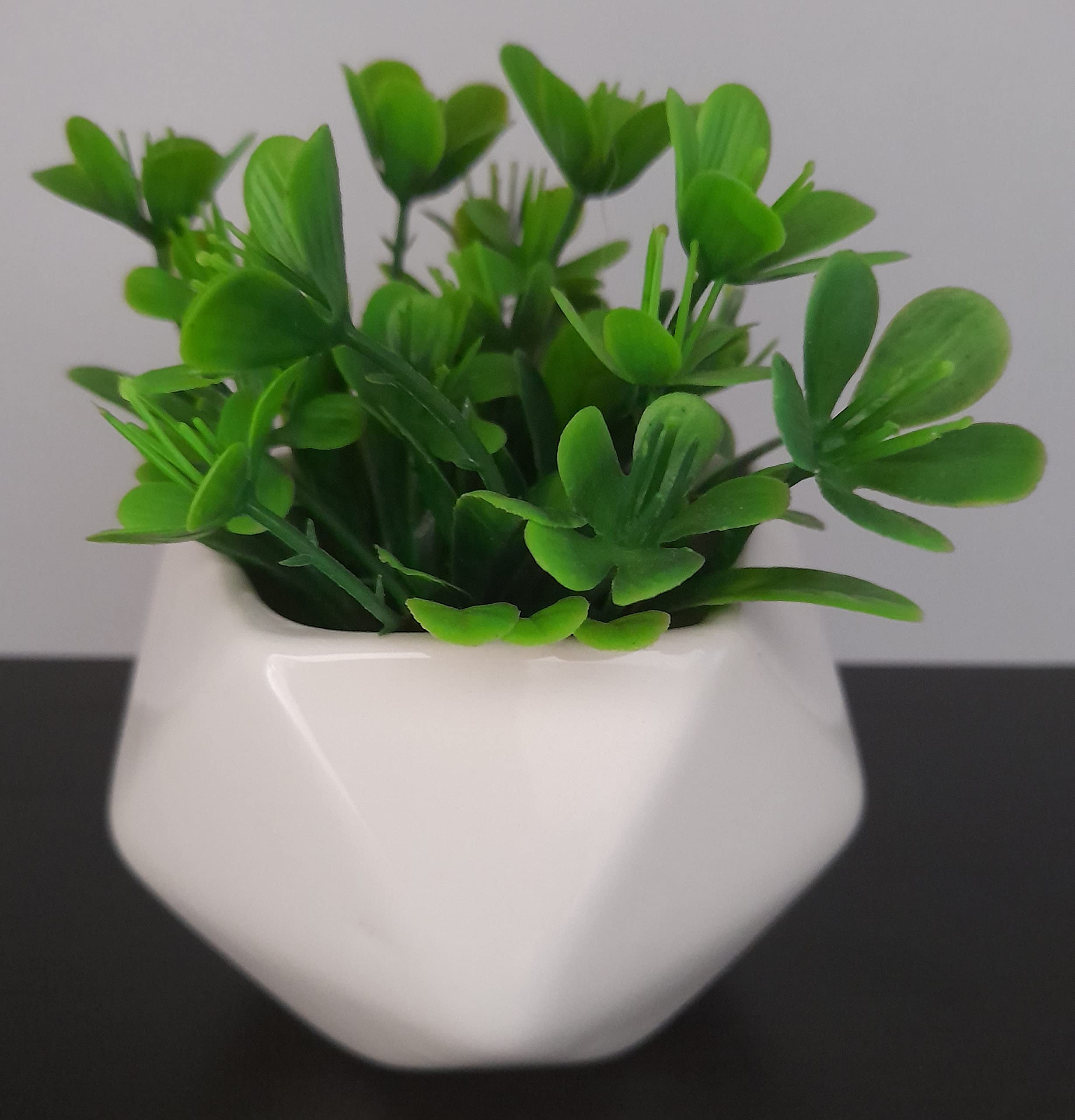 Outdoors Ddss Tt-93 Pentagon Ceramic Pot For Succulent/Herbs/Cactus For Office Home Size: H.8Cm X L.7Cm X D. 7Cm- White (B0B37HDPGM) Amazon Price History, Amazon Price Tracker