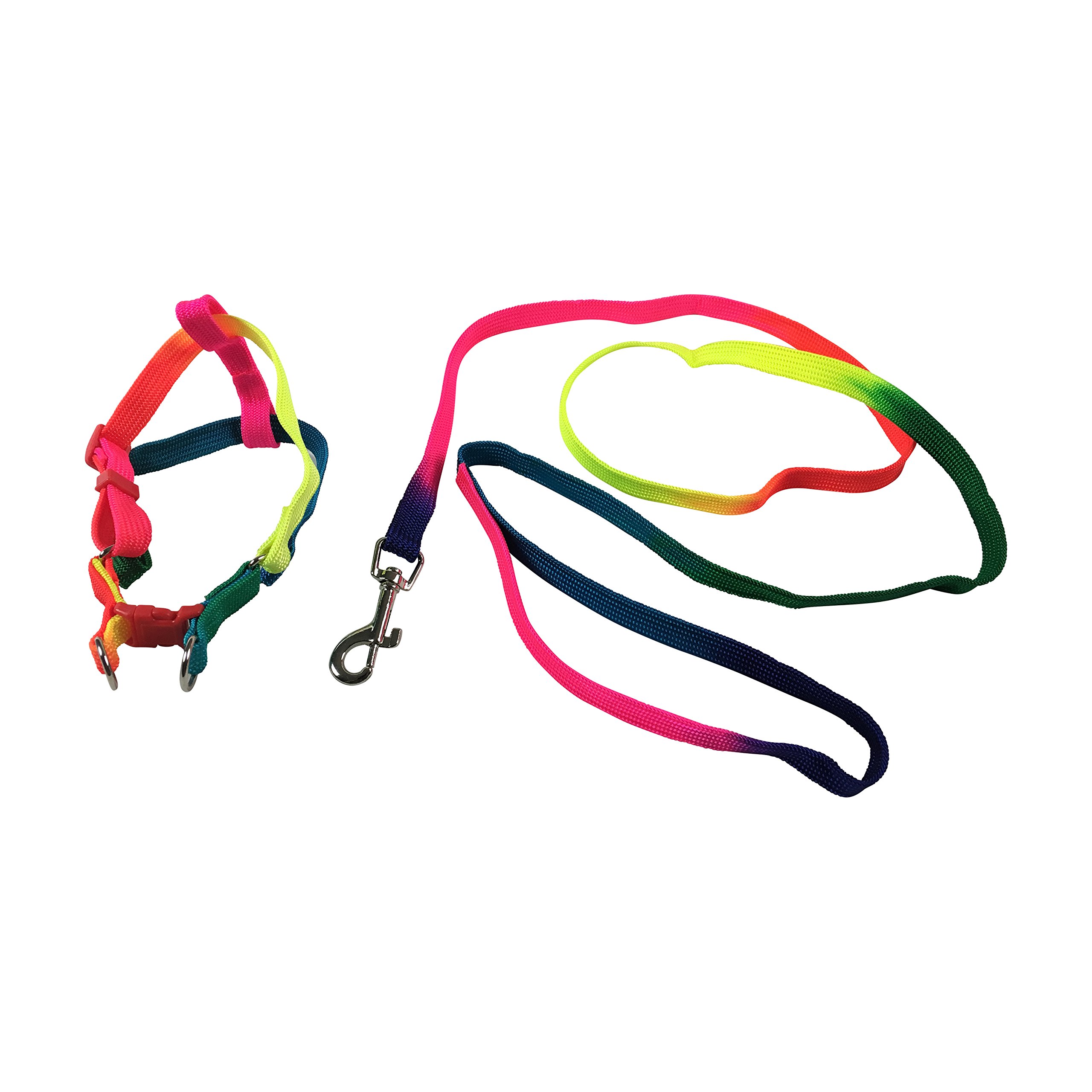Gay pride dog harness Outlet