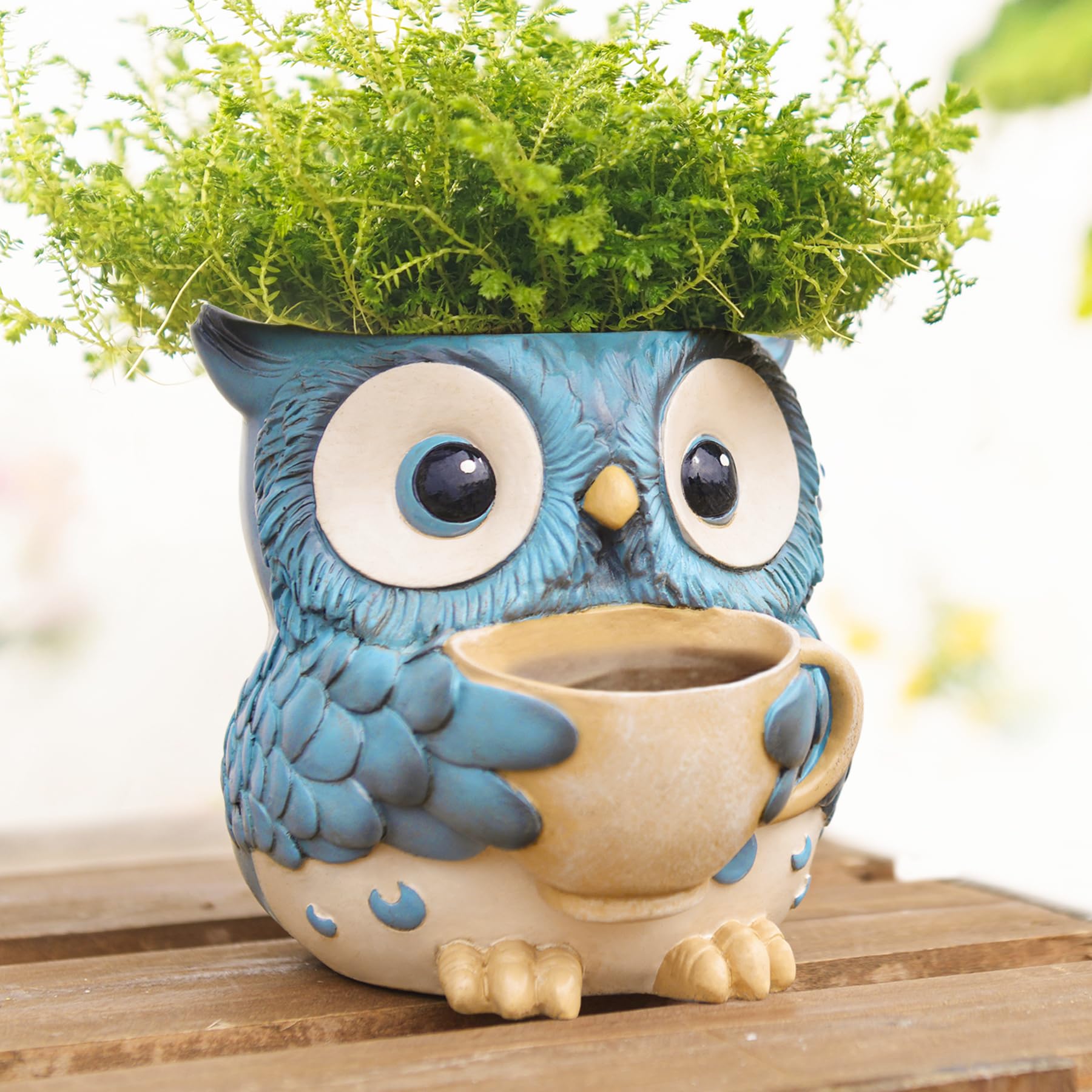 Amazon.co.jp: Saysmile ユニーク フクロウ 植木鉢 屋内 かわいい 小型
