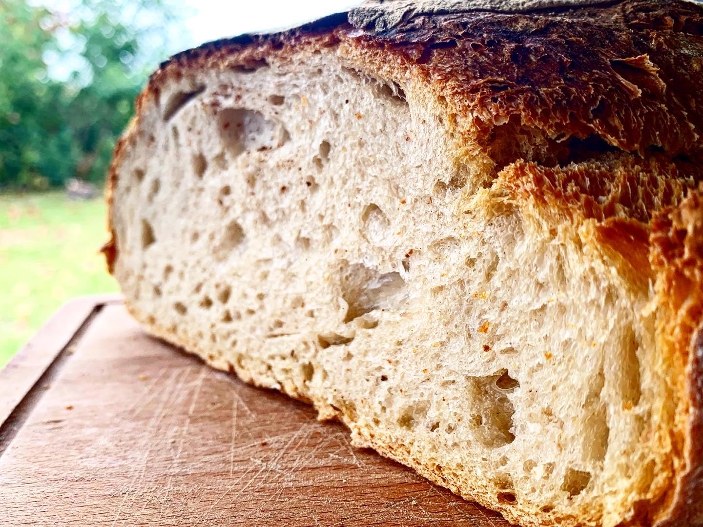 MYLEVAIN Francuskie naturalne płatki na zakwasie - Żywy organiczny zakwas - 2009 vintage