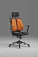 HARA CHAIR:ハラチェアー　ニーチェA Amazon.co.jp: Hara Chair ハラチェア ニーチェ 《標準モデル