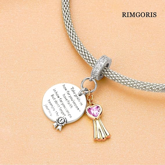 925 Sterling Silver Charm for women bracelets necklace Ocean Dolphin Graduation Cap Hat Dr.Owl Bachelor Cap Starfish Turtle Fish Summer Sea Beach Holiday Ocean Dolphin Charm Gifts