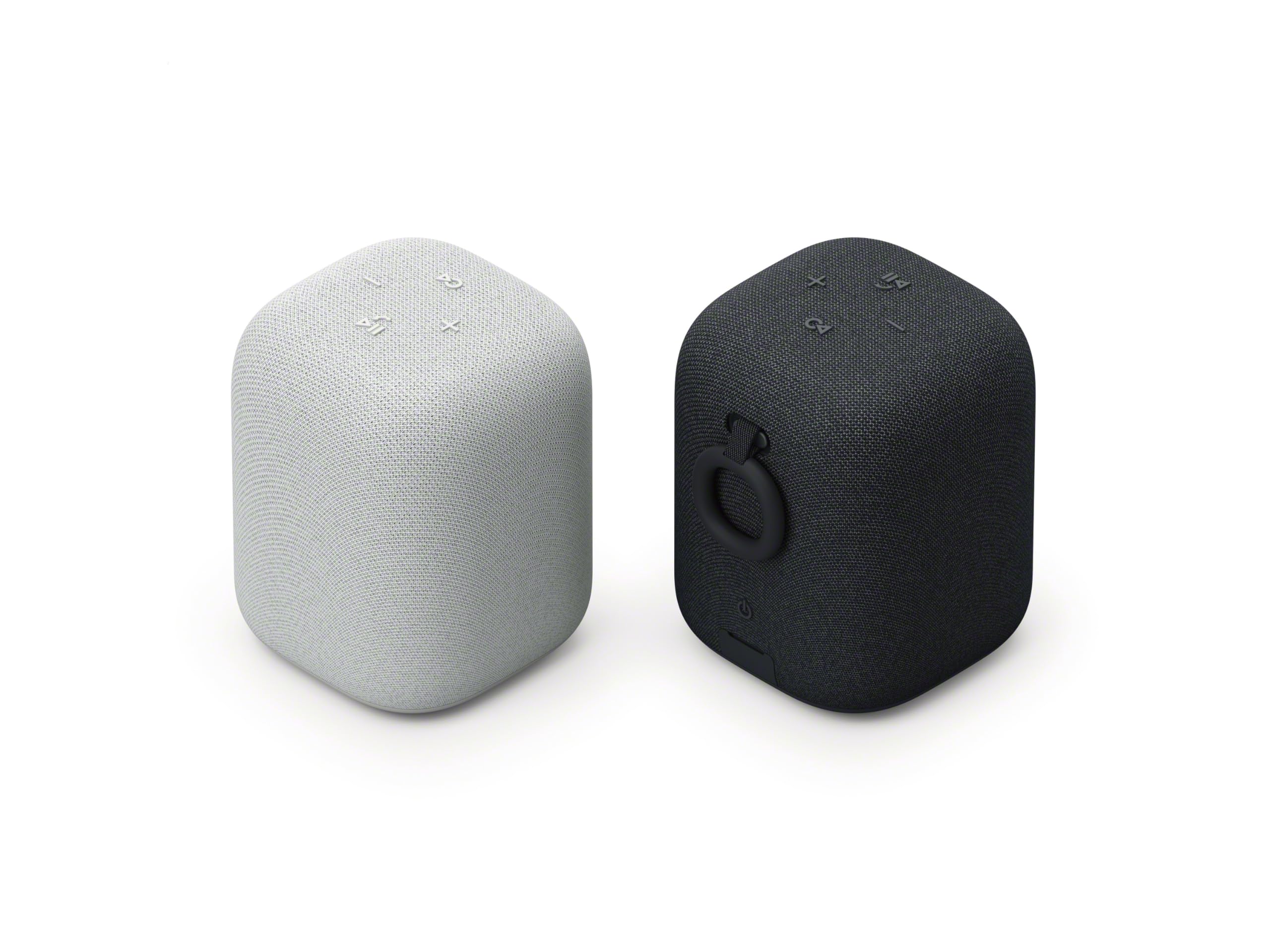 Sony Enceinte LinkBuds - Enceinte Portable sans Fil Bluetooth, IPX4, Résistante à l'eau, Batterie de 25 Heures, Qualité d'Appel Clair, Outdoor, Voyage - Noir